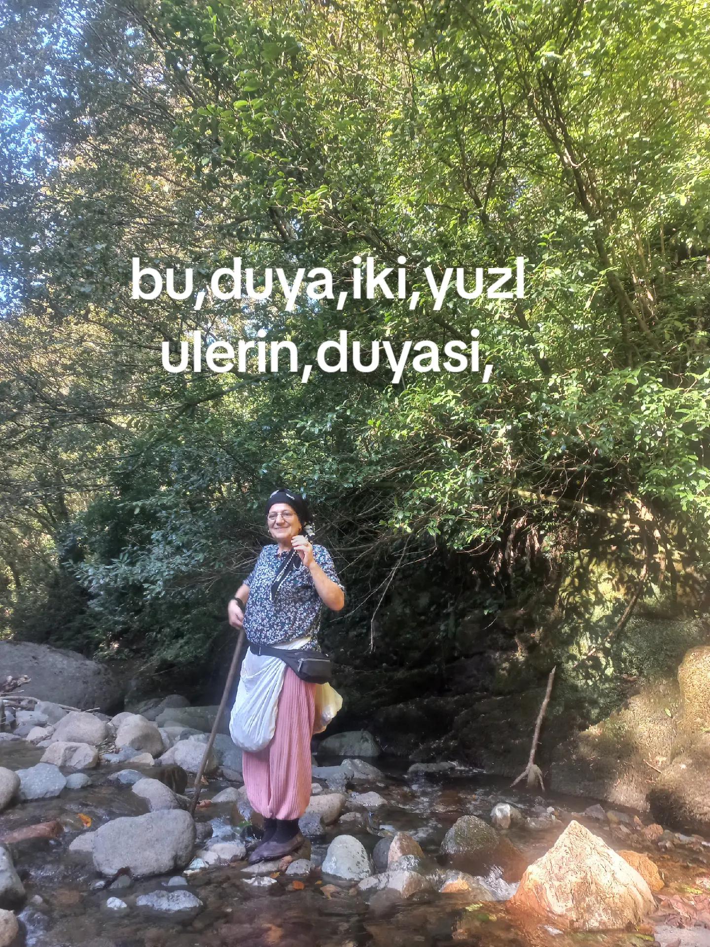 @ordu5252