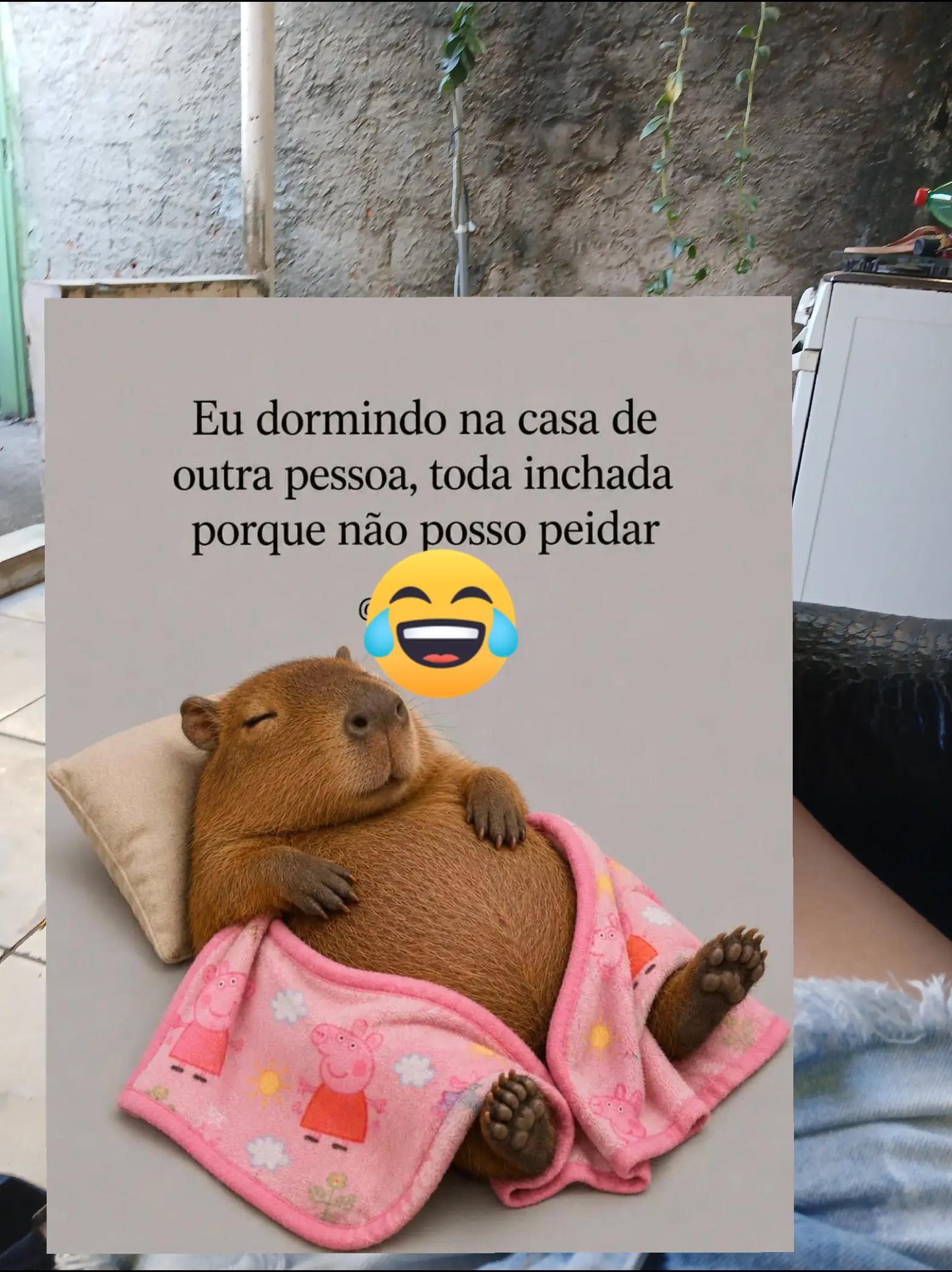 @humor da Célia 🤣
