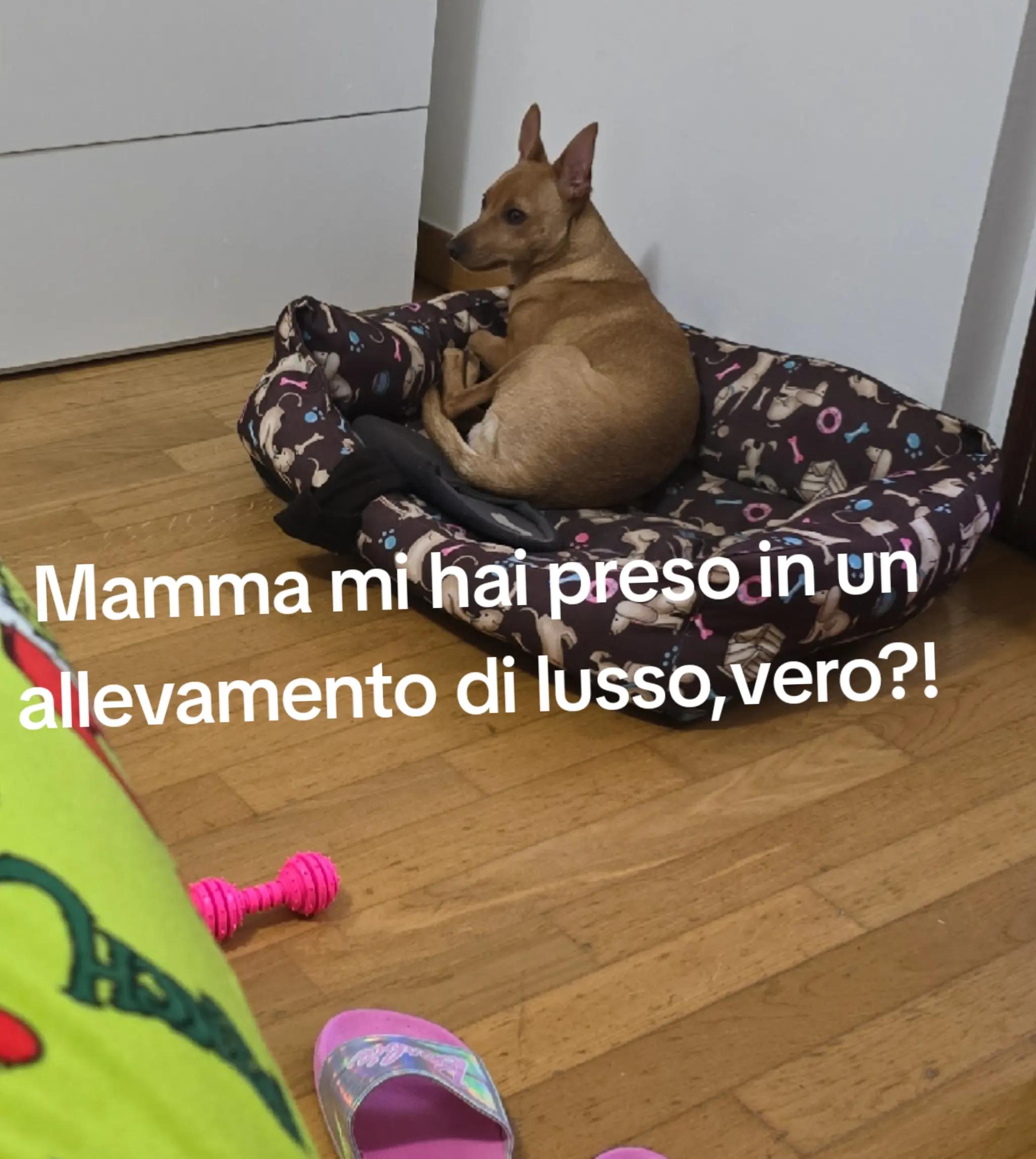 @Naomi