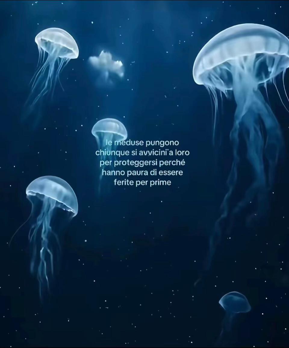 @ludovicaareccagnii
