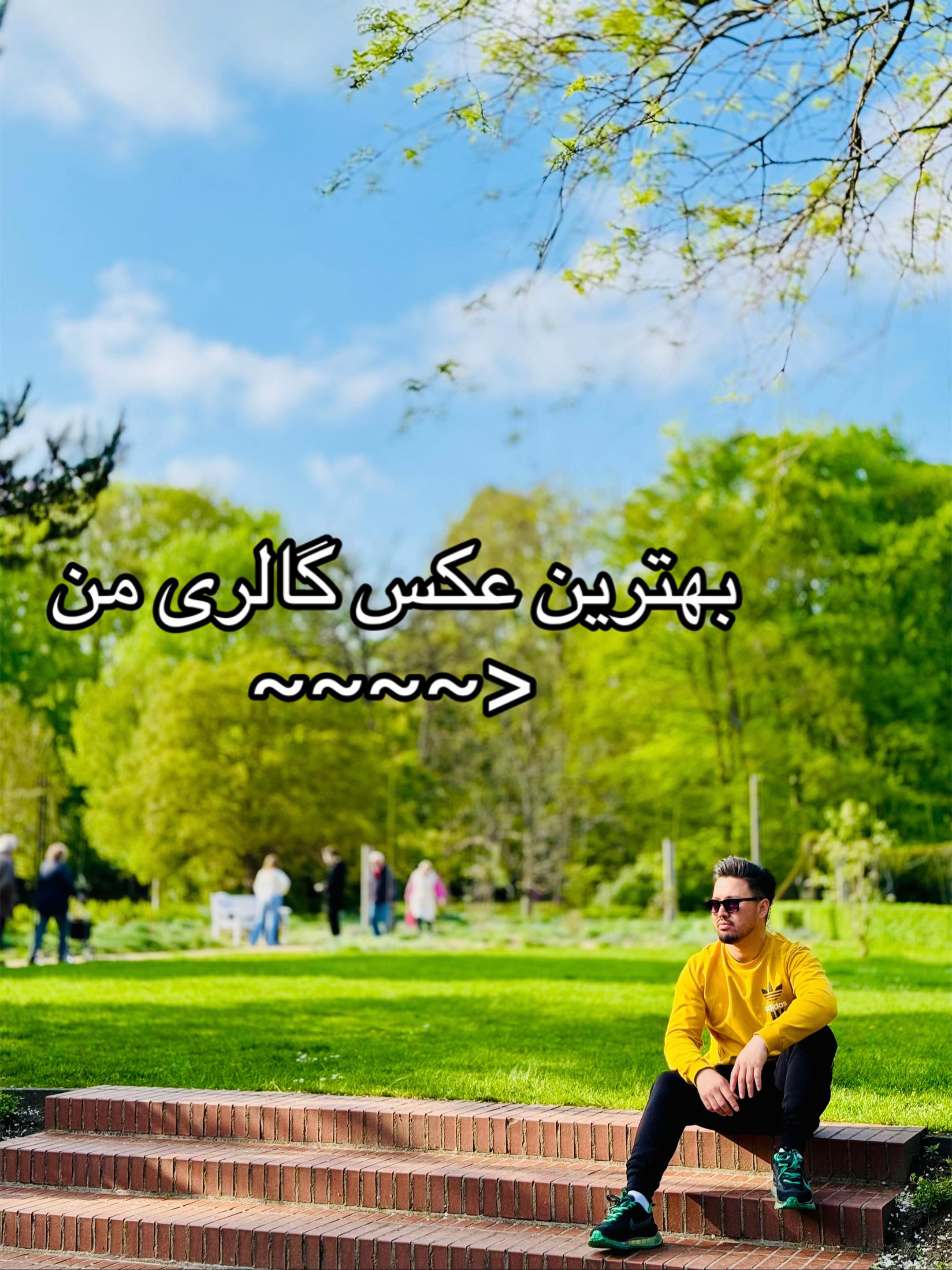 @noyan.alii