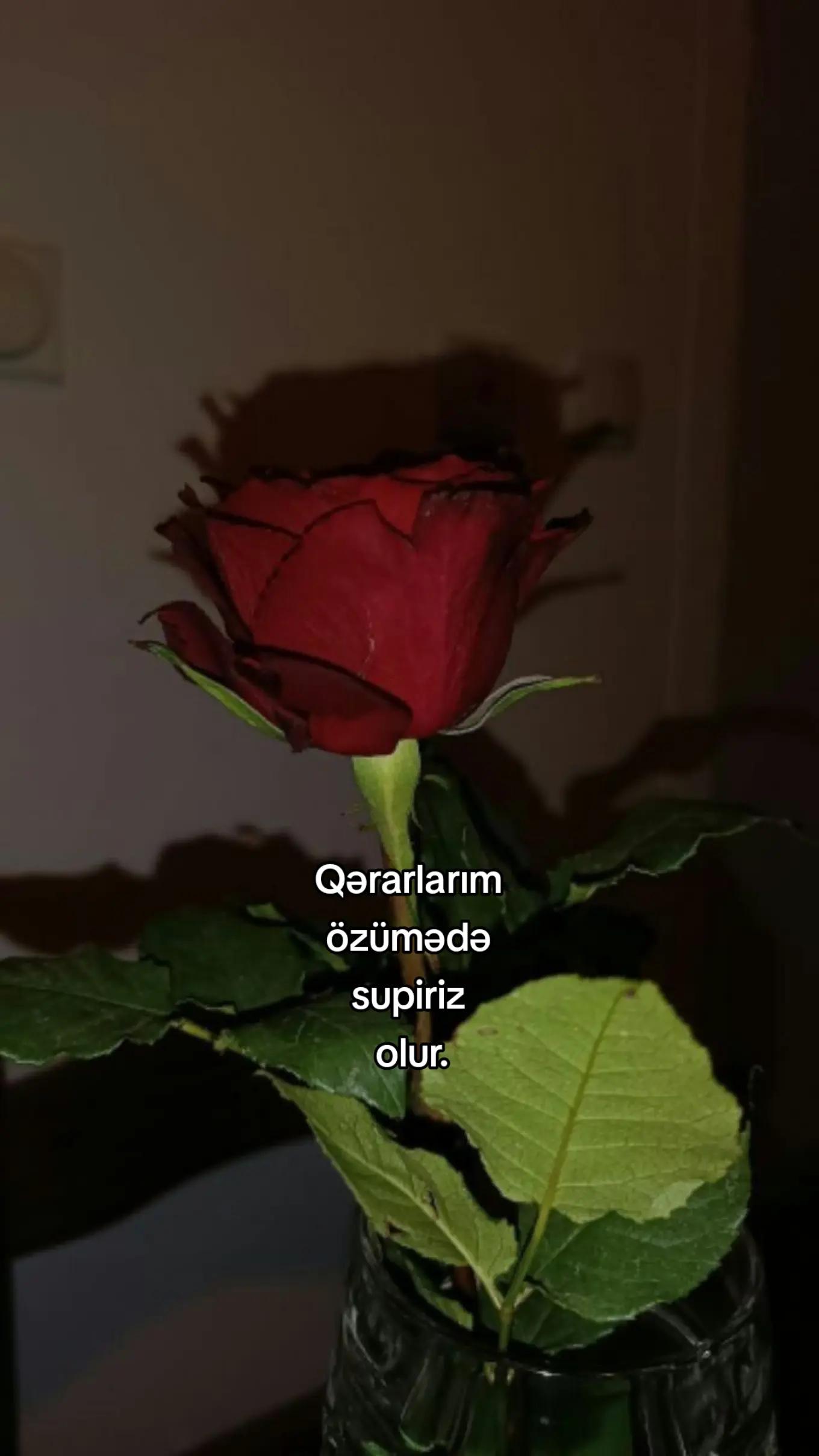 @sə8d