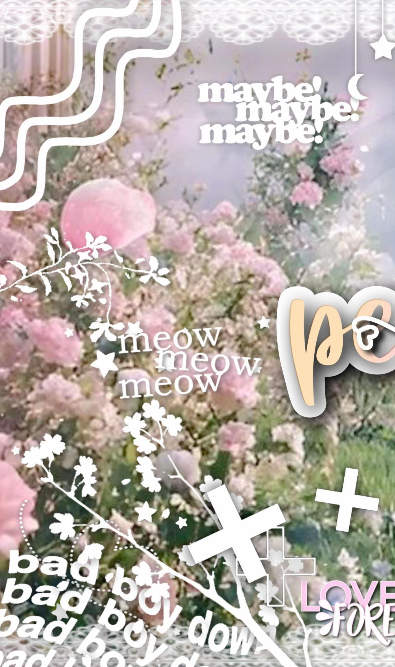 @★ 𝒹𝒶𝓃𝒾 𖣘 / 𝒞ℋ𝒪𝒪ℳ