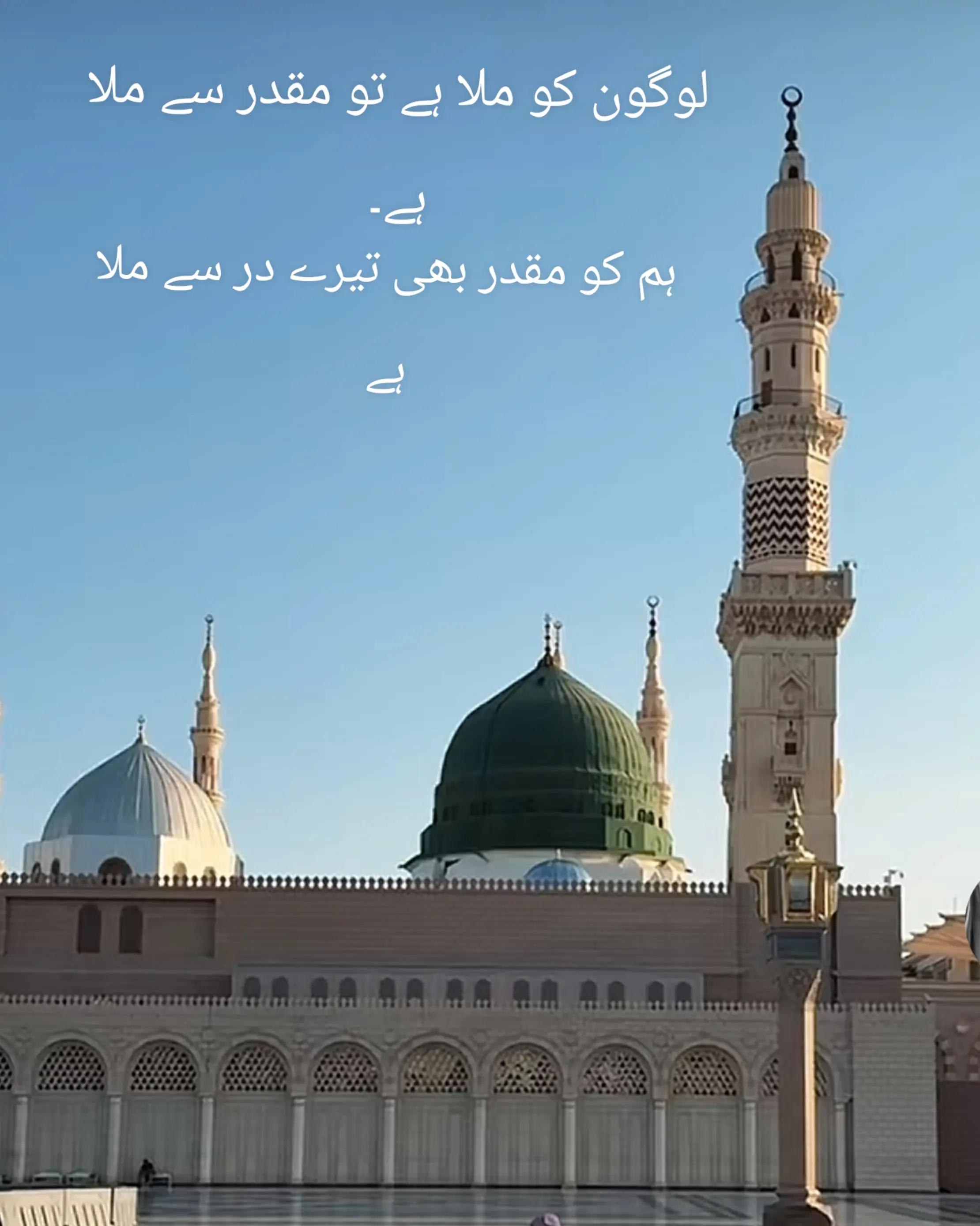 @shama jawed