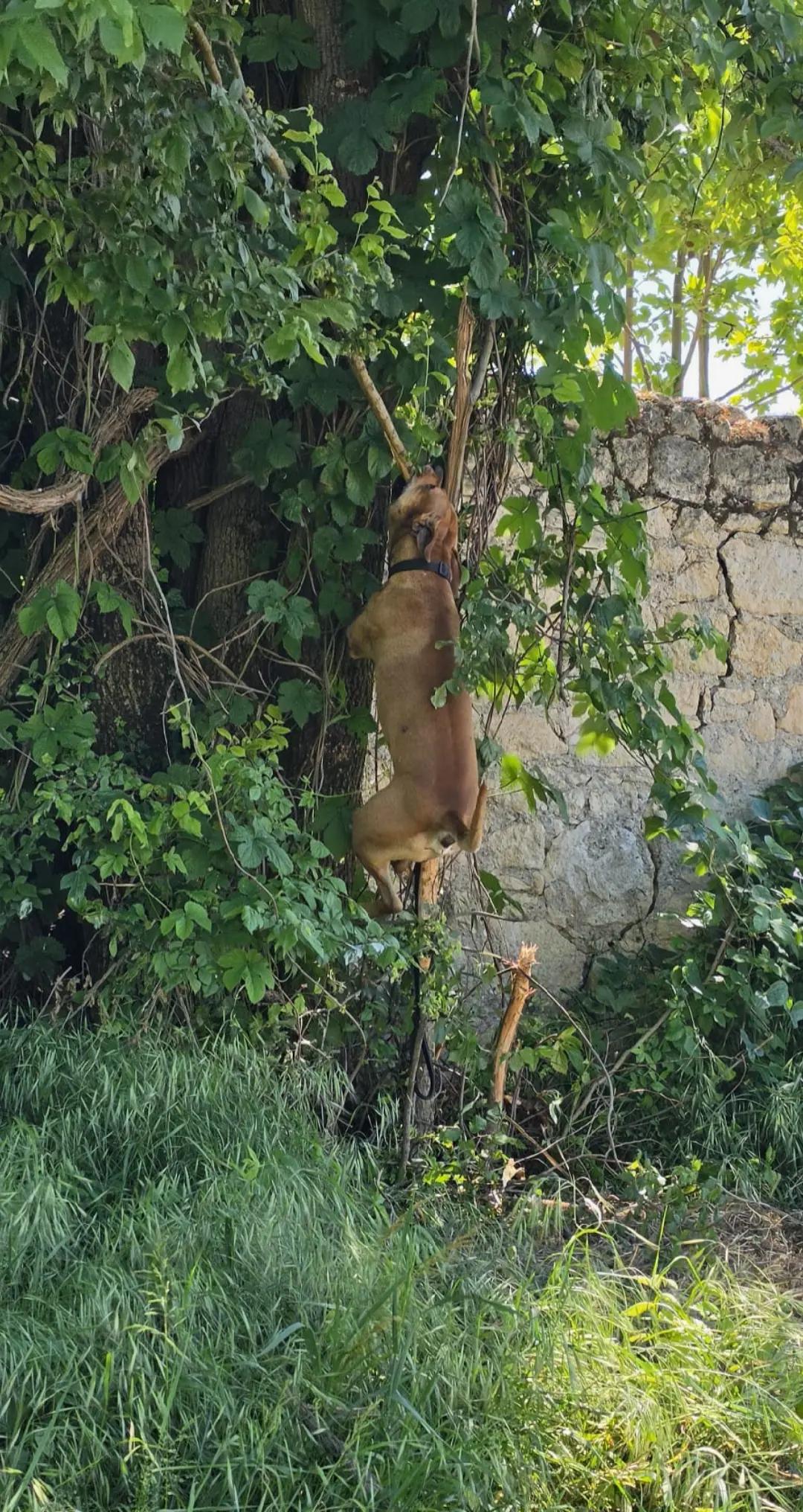 @AngyeSandy🐾