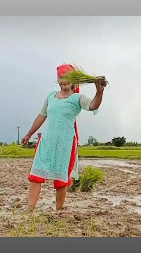 @दीपा वली❣️❣️