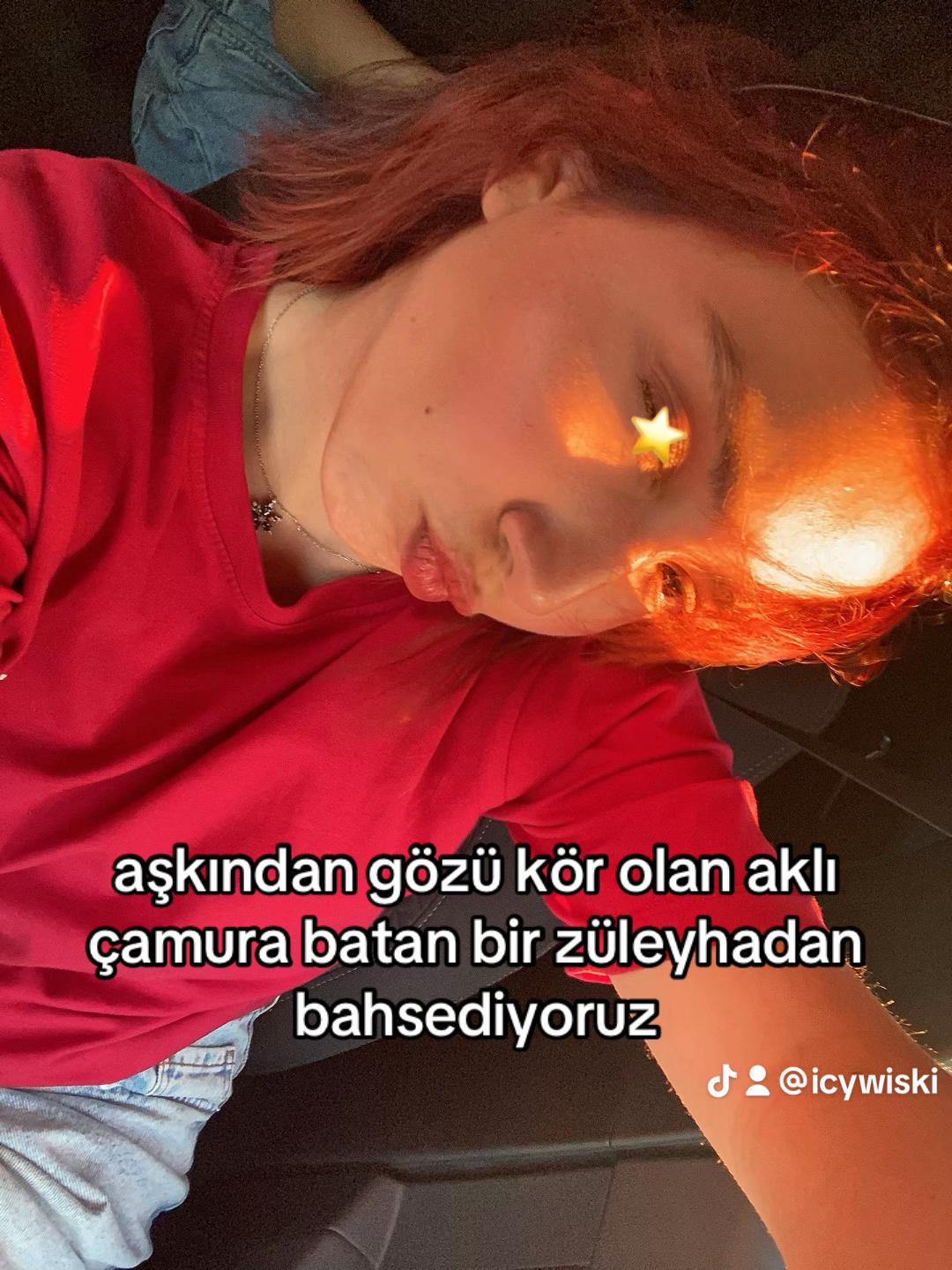 @kısaparlament