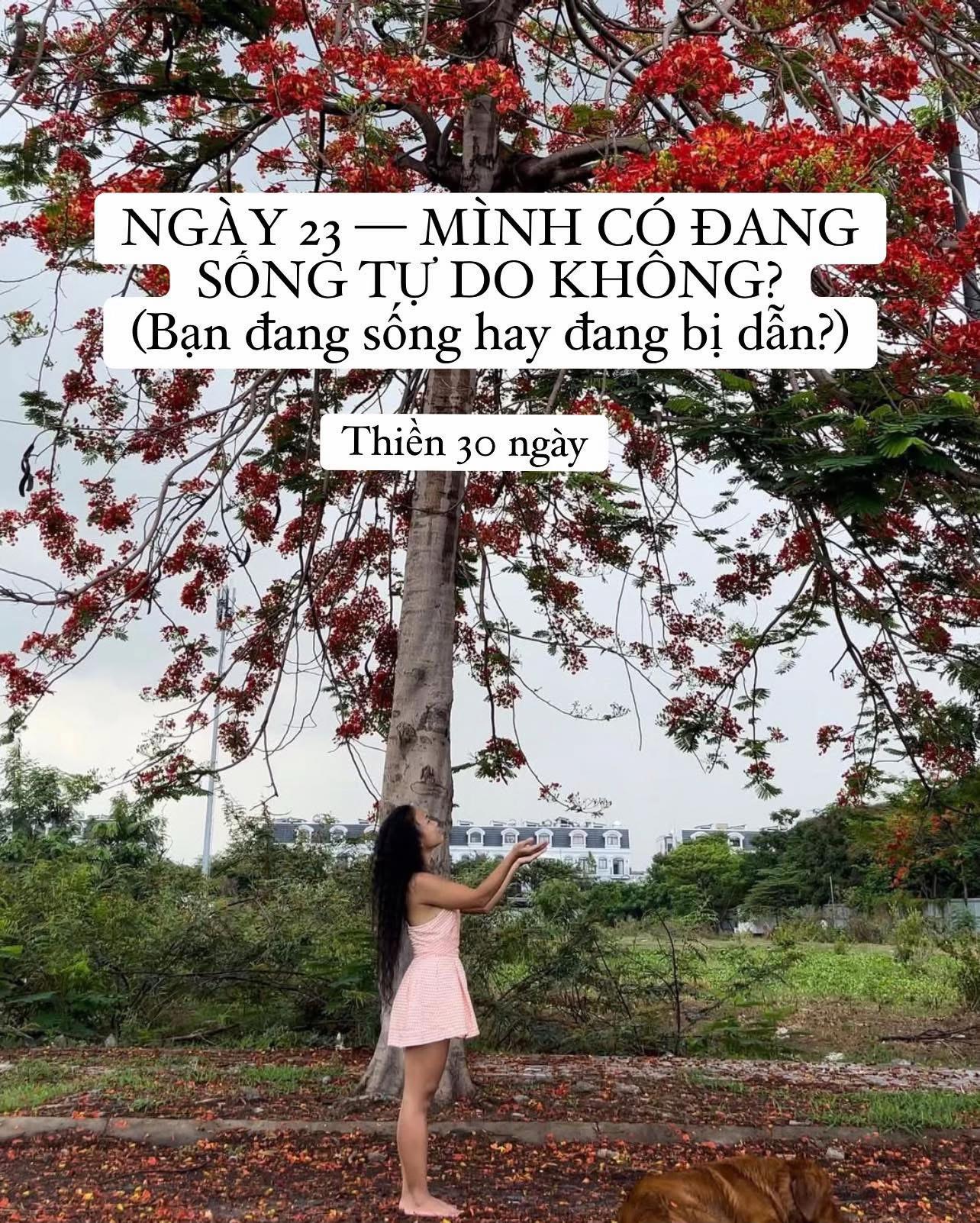 @buihoangbichtho