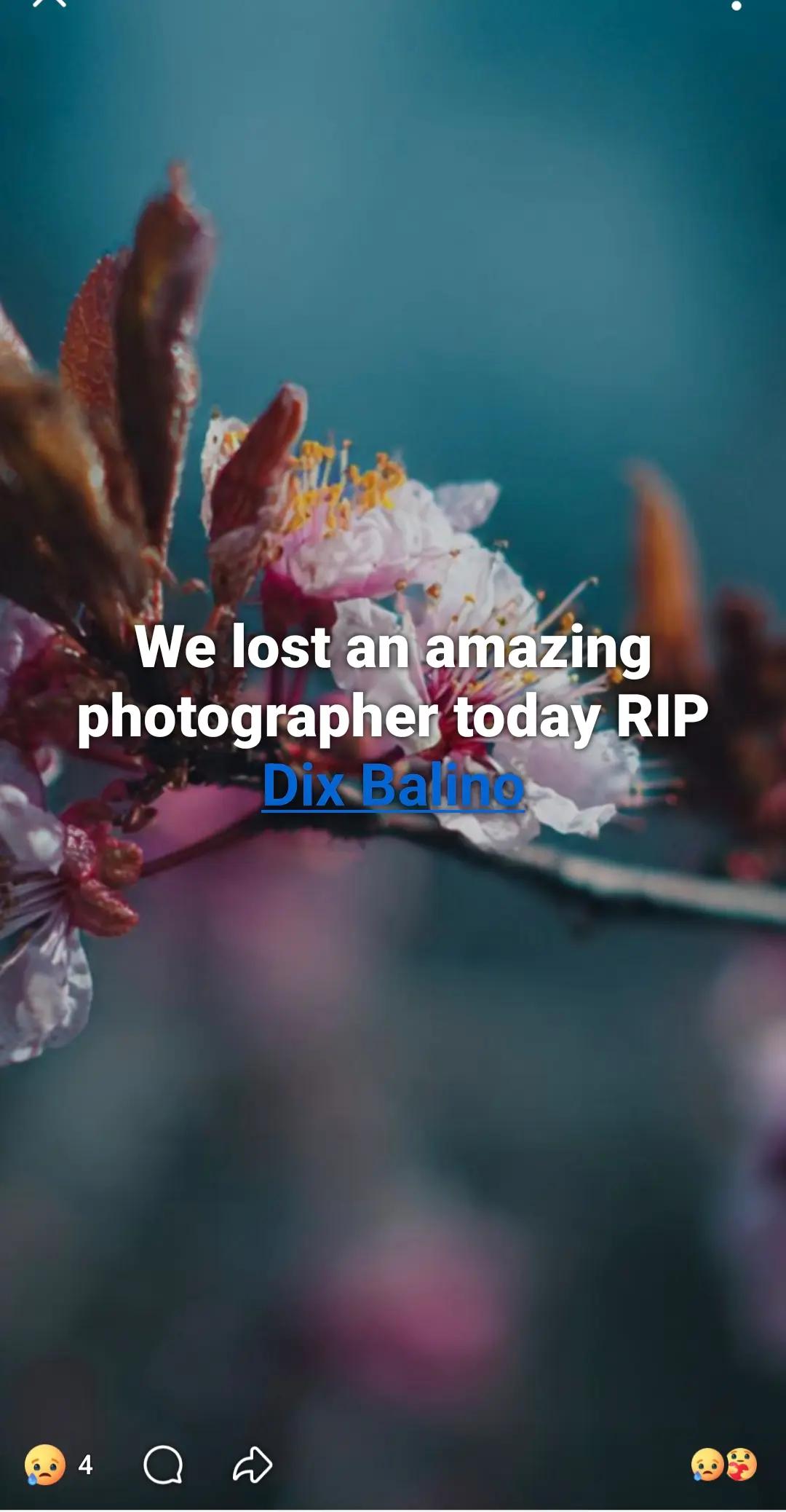 @Dylan cotton photos