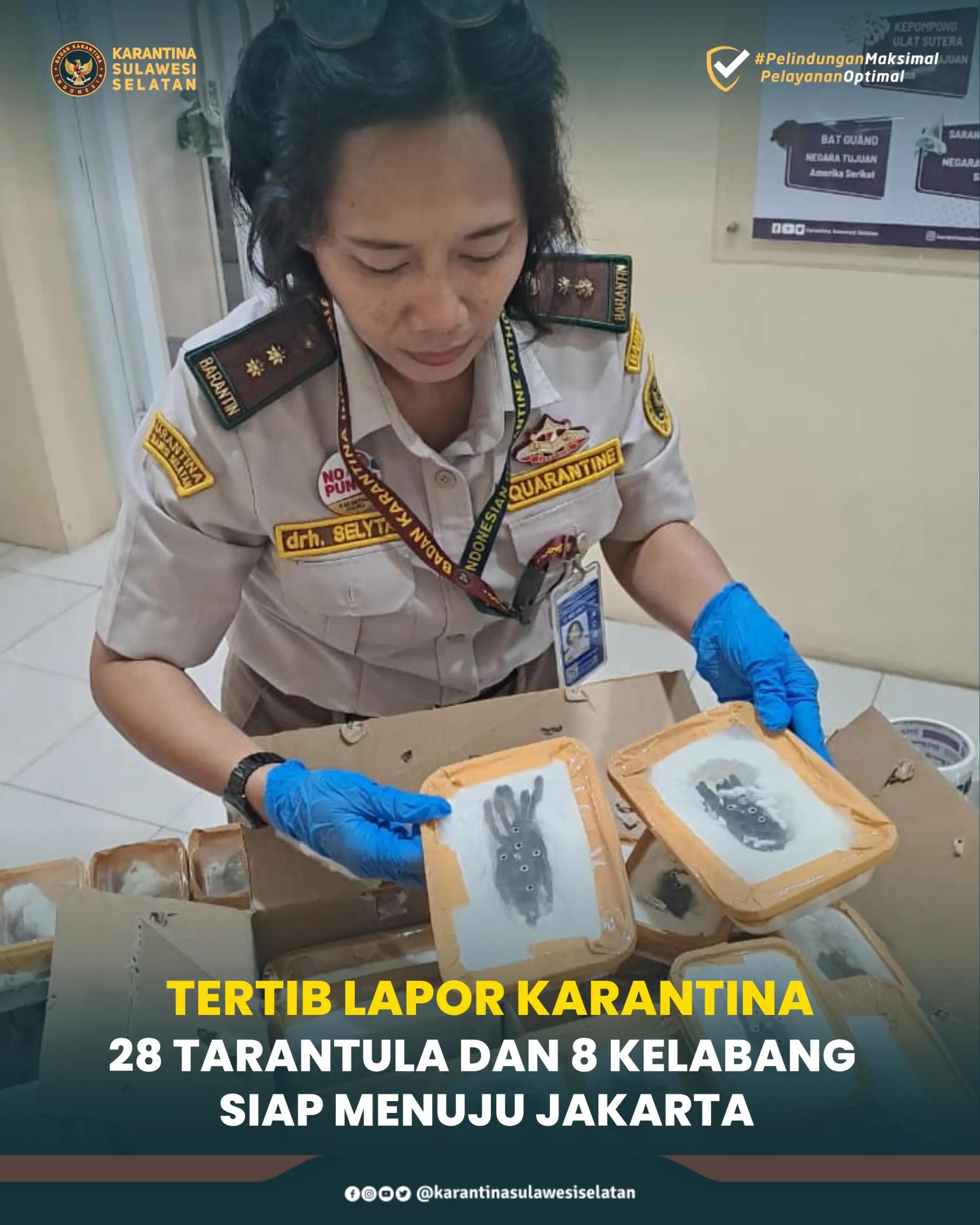 @Karantina Sulawesi Selatan