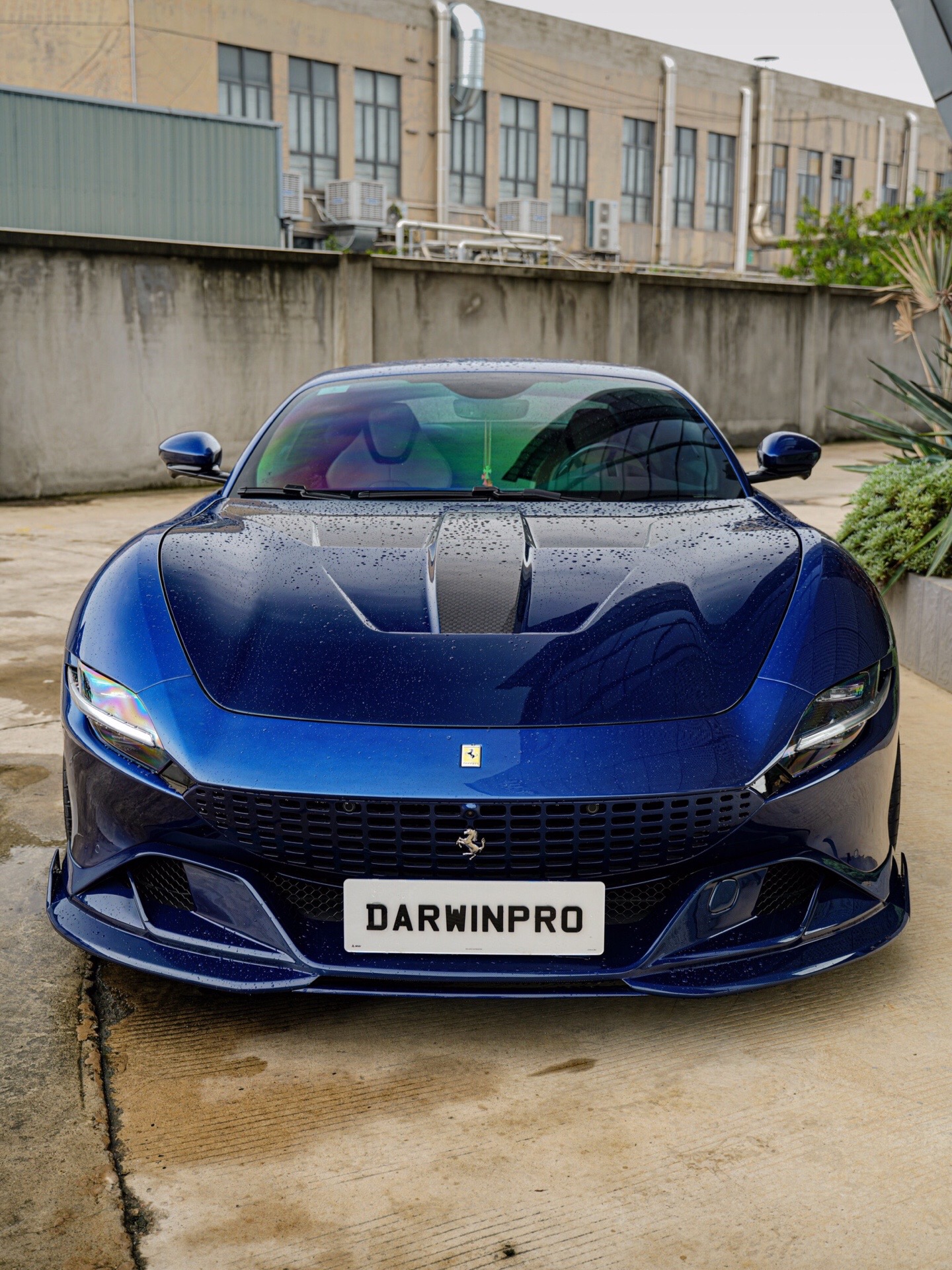 @DarwinPRO