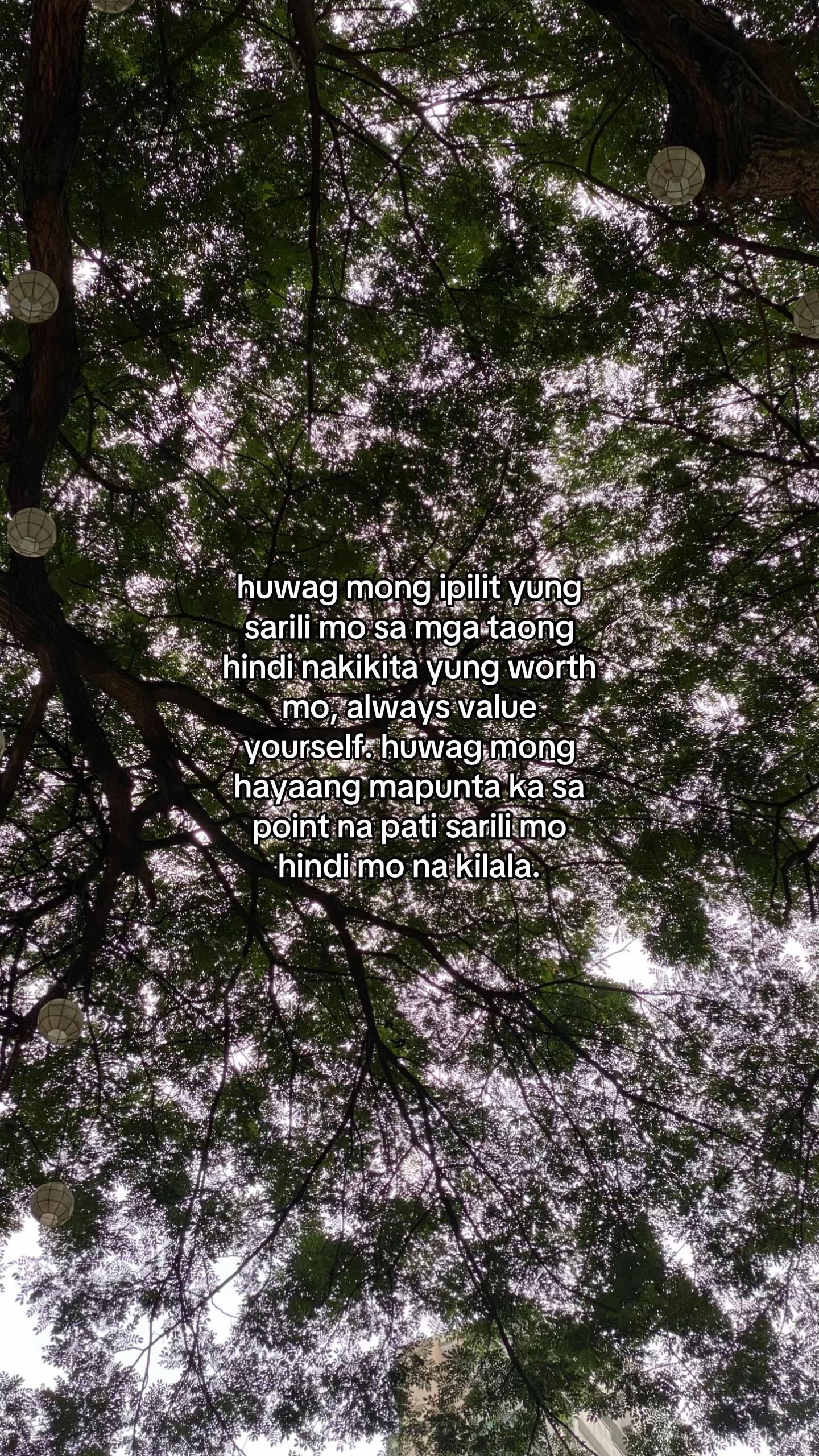 @Cy