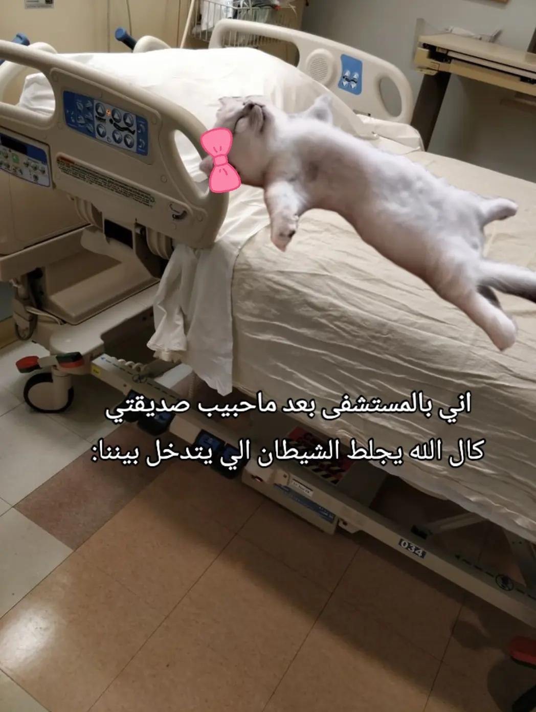 @احبك؟