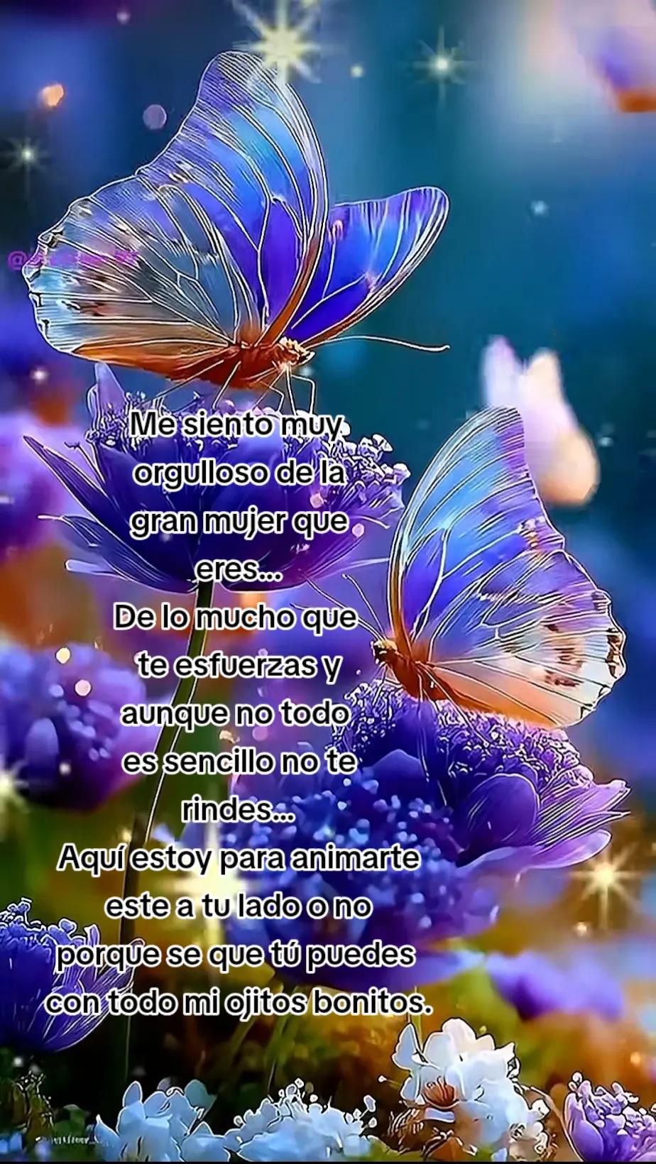 @Rafael V.J.(Lobito)