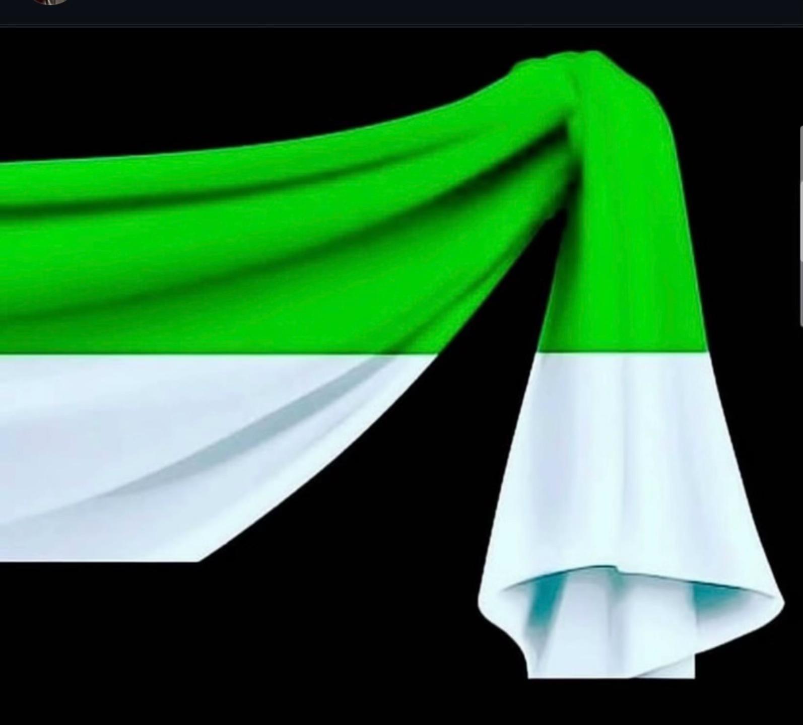 @𝚃𝚊𝚓𝚒𝚔_💚🤍🖤