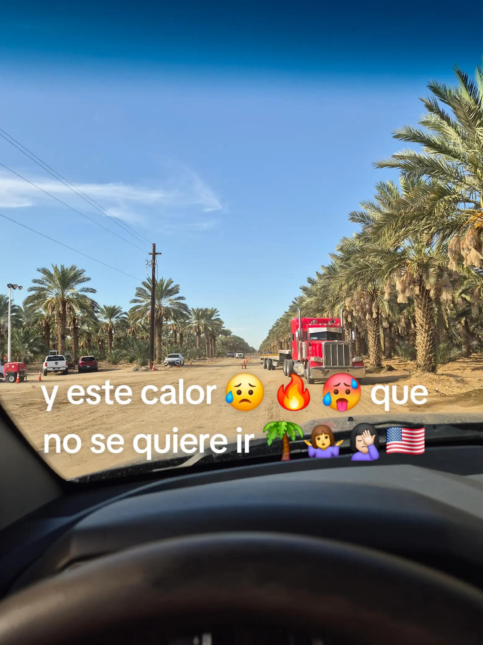 @La patrona & Que?