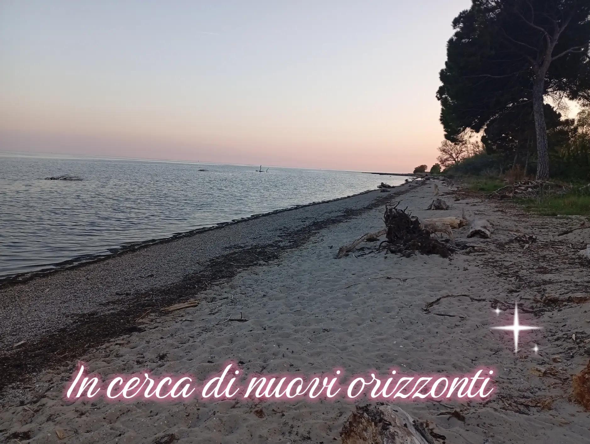 @Elisabetta Francesca Mori