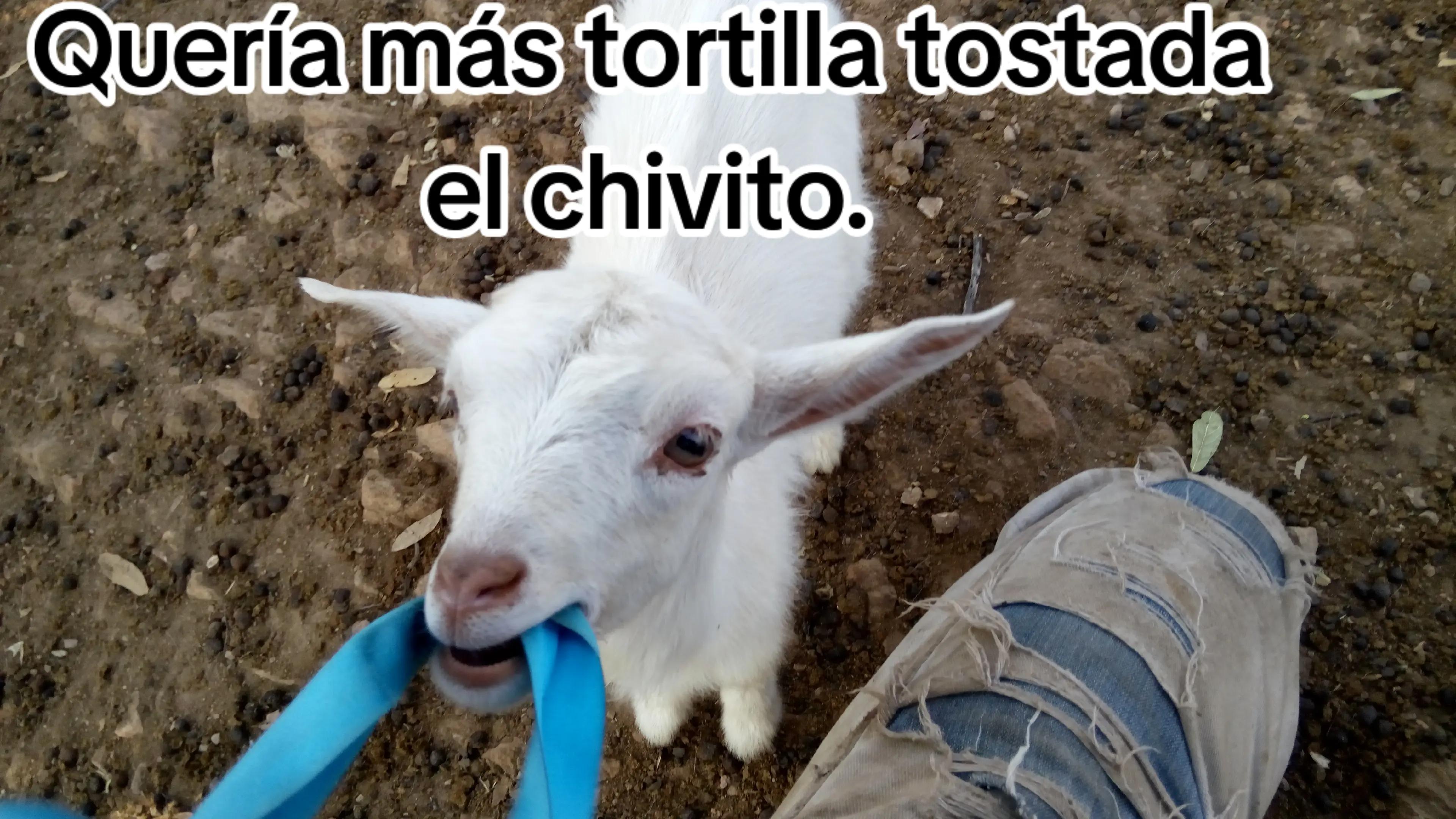 @Andr&eacute;s