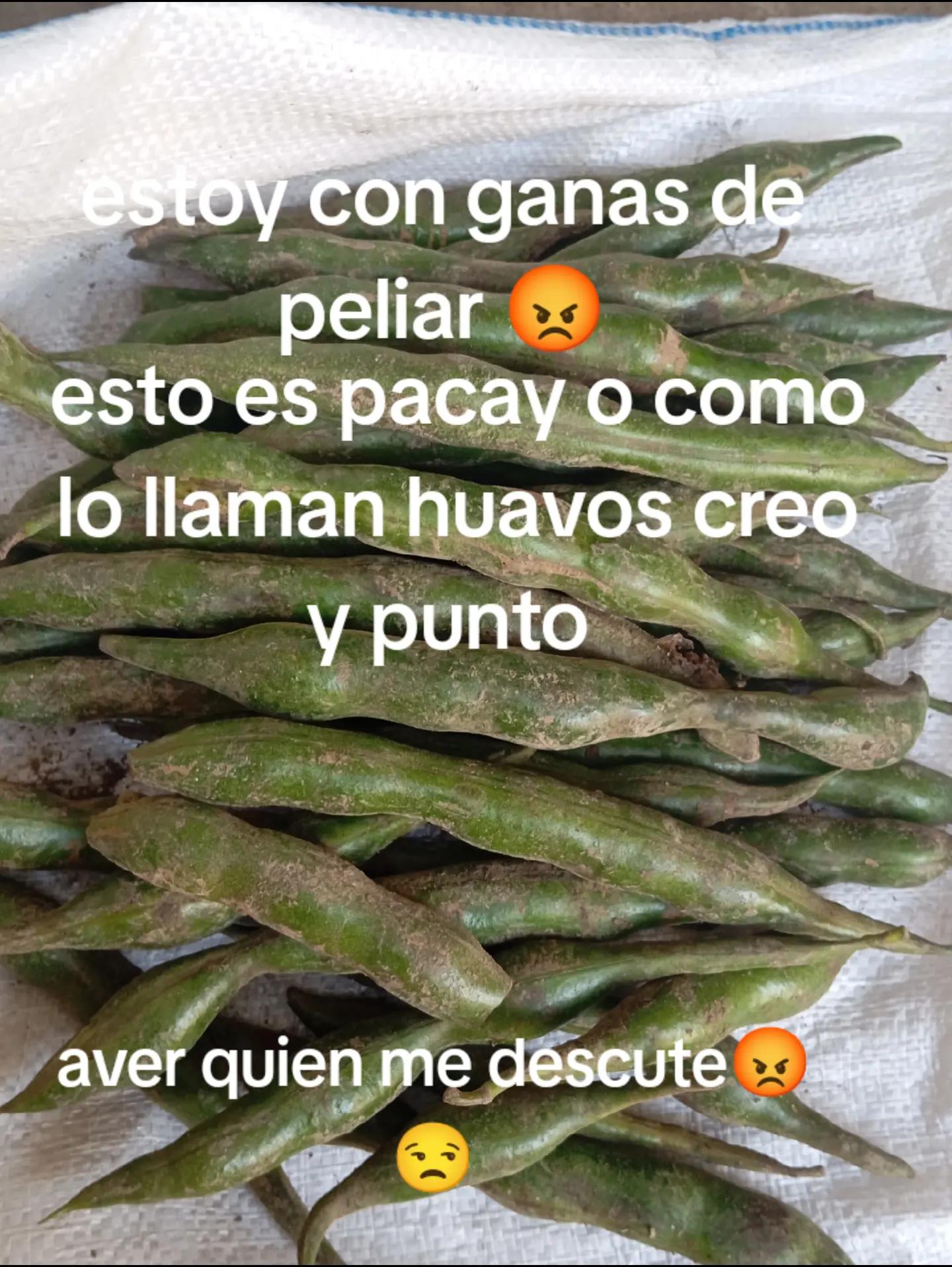 @🇵🇪lucy 🇬🇹pizan ♑🥰