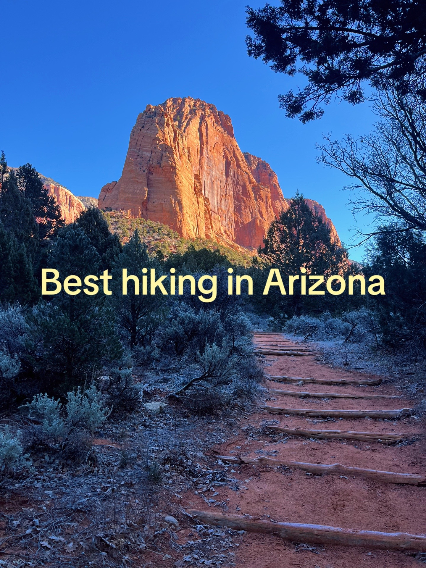 @Chasey Campbell 🏔️🕷️🐾