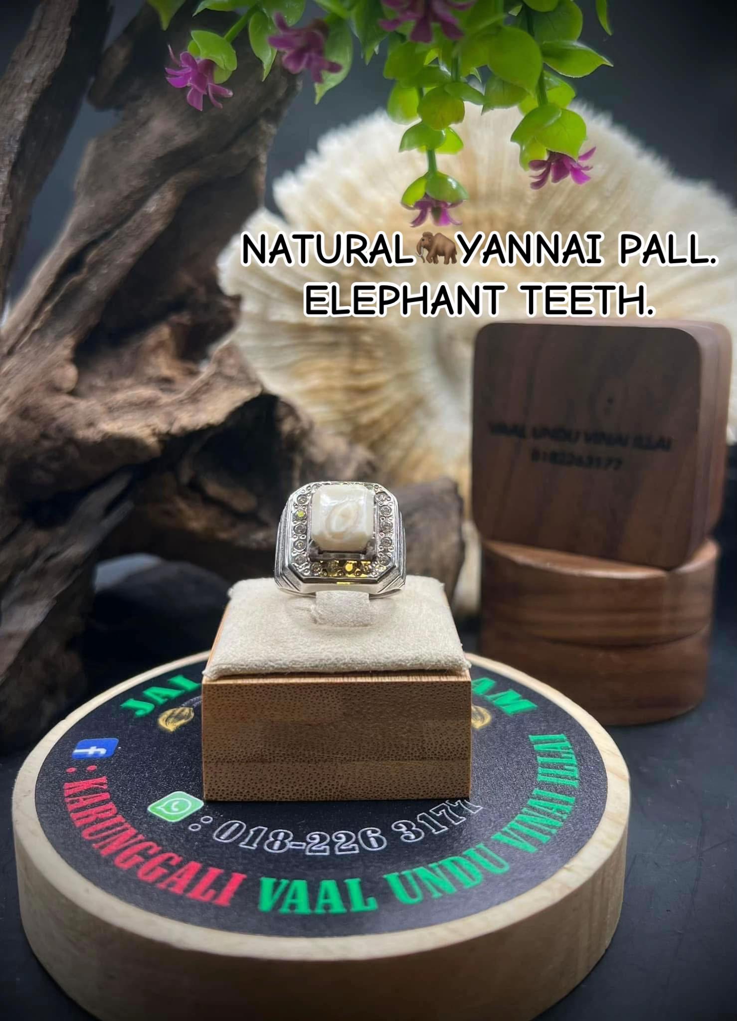 @VAAL UNDU VINAI ILLAI 🚩