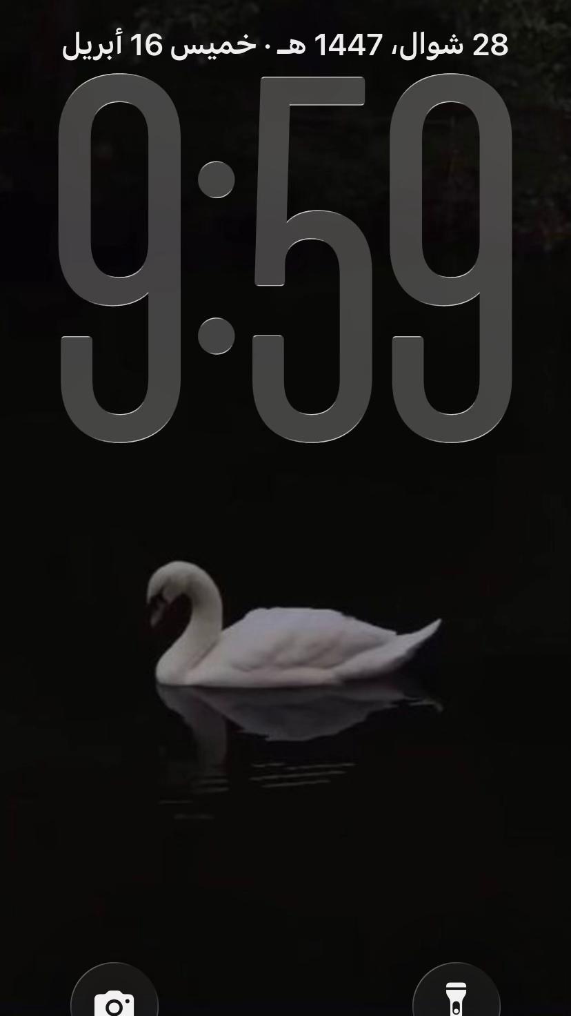 @๐๐ถ๐ฒ"๐ป๐ช๐โ