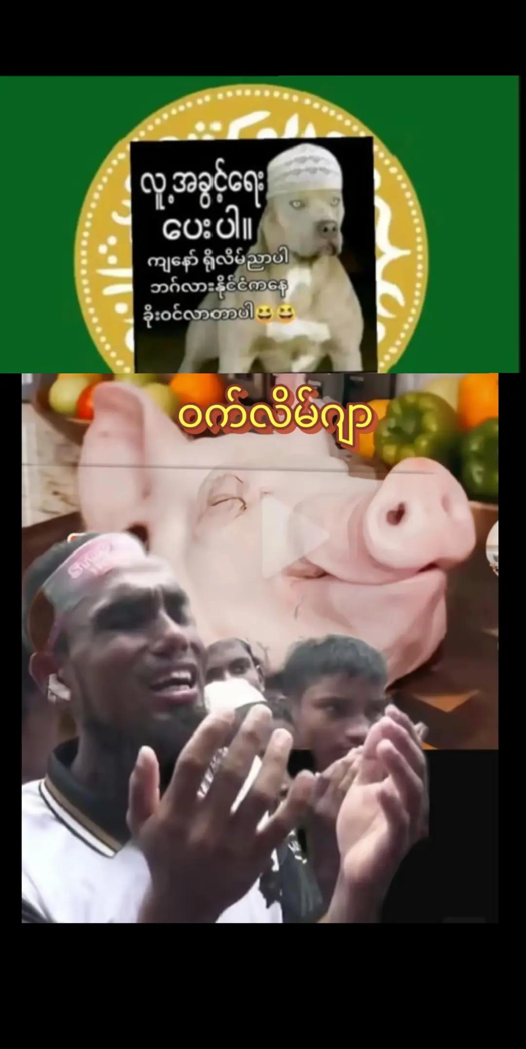 @๐๐แแแแบแธแ
แฏแถ