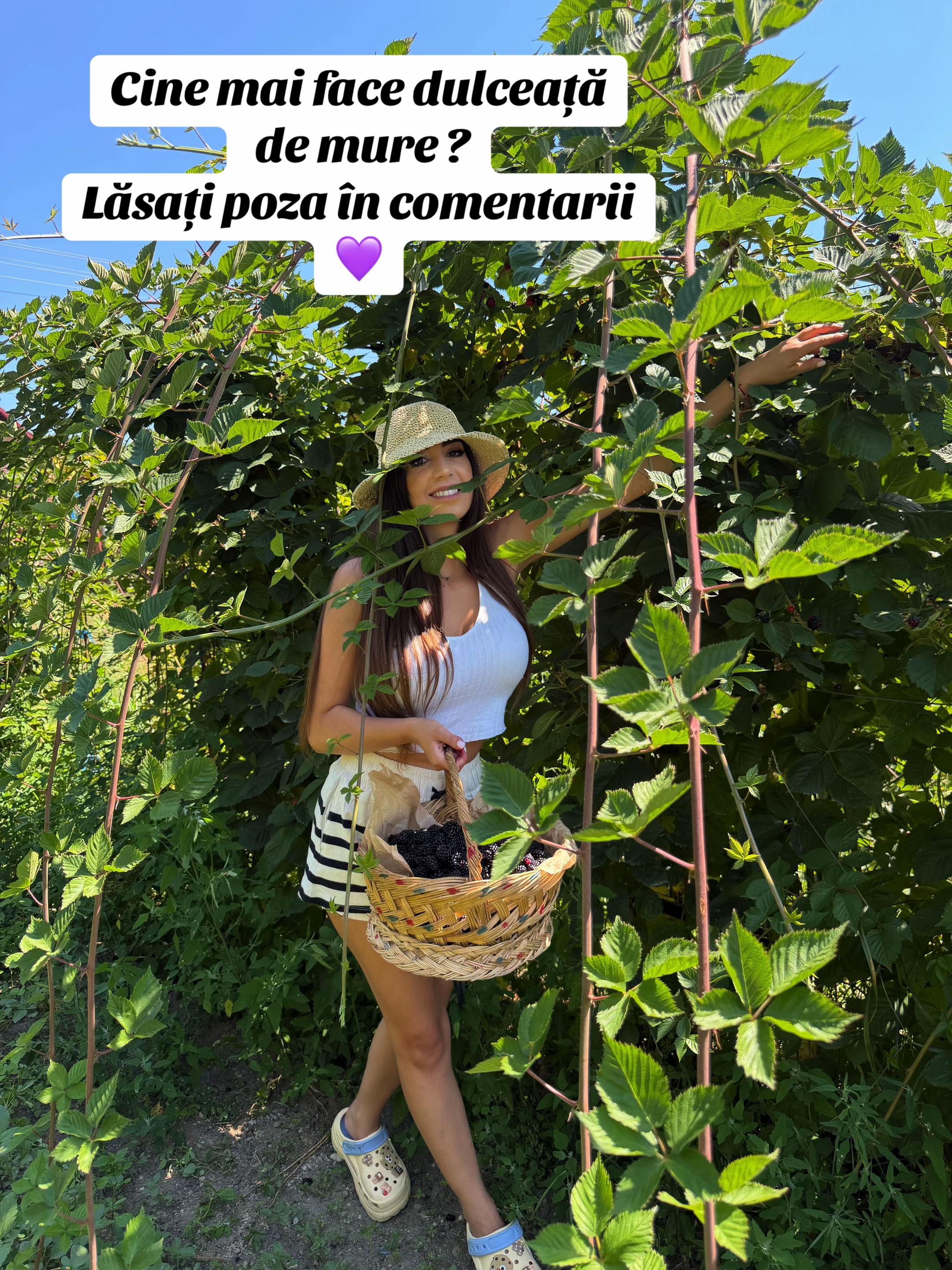 @lavinia stoica