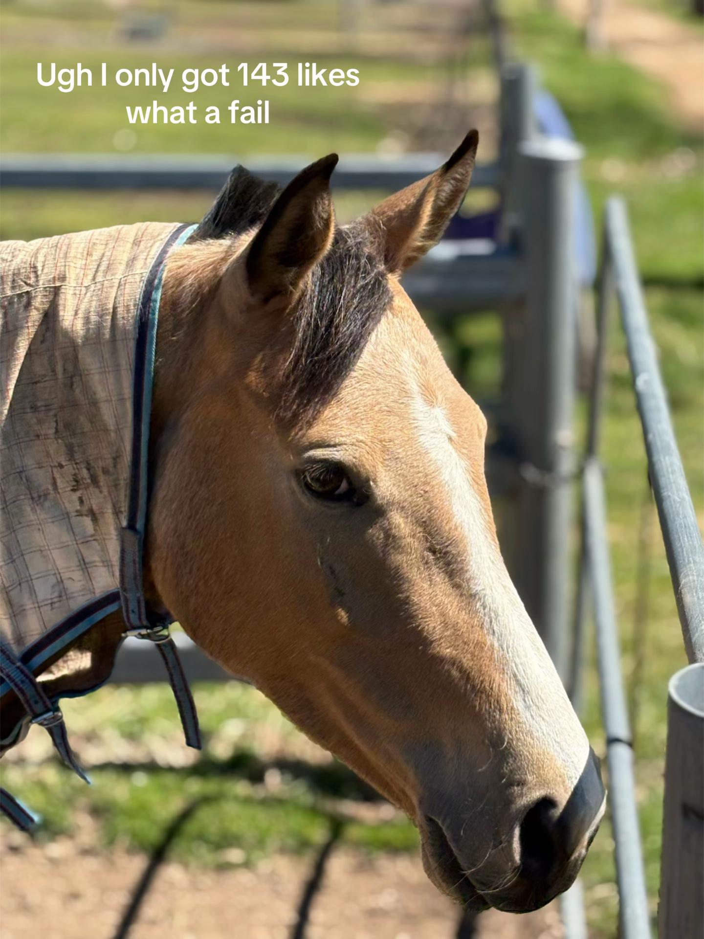 @Lyla_eventing