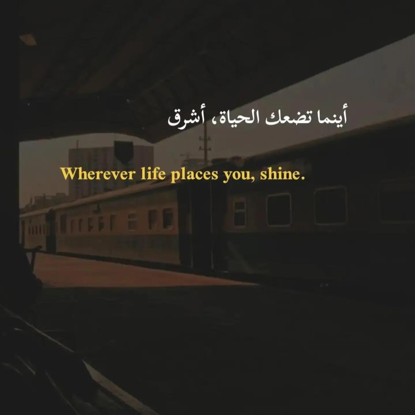 @البيــ🌪ـشــو||𝖇𝖎𝖘𝖍𝖔𝖔