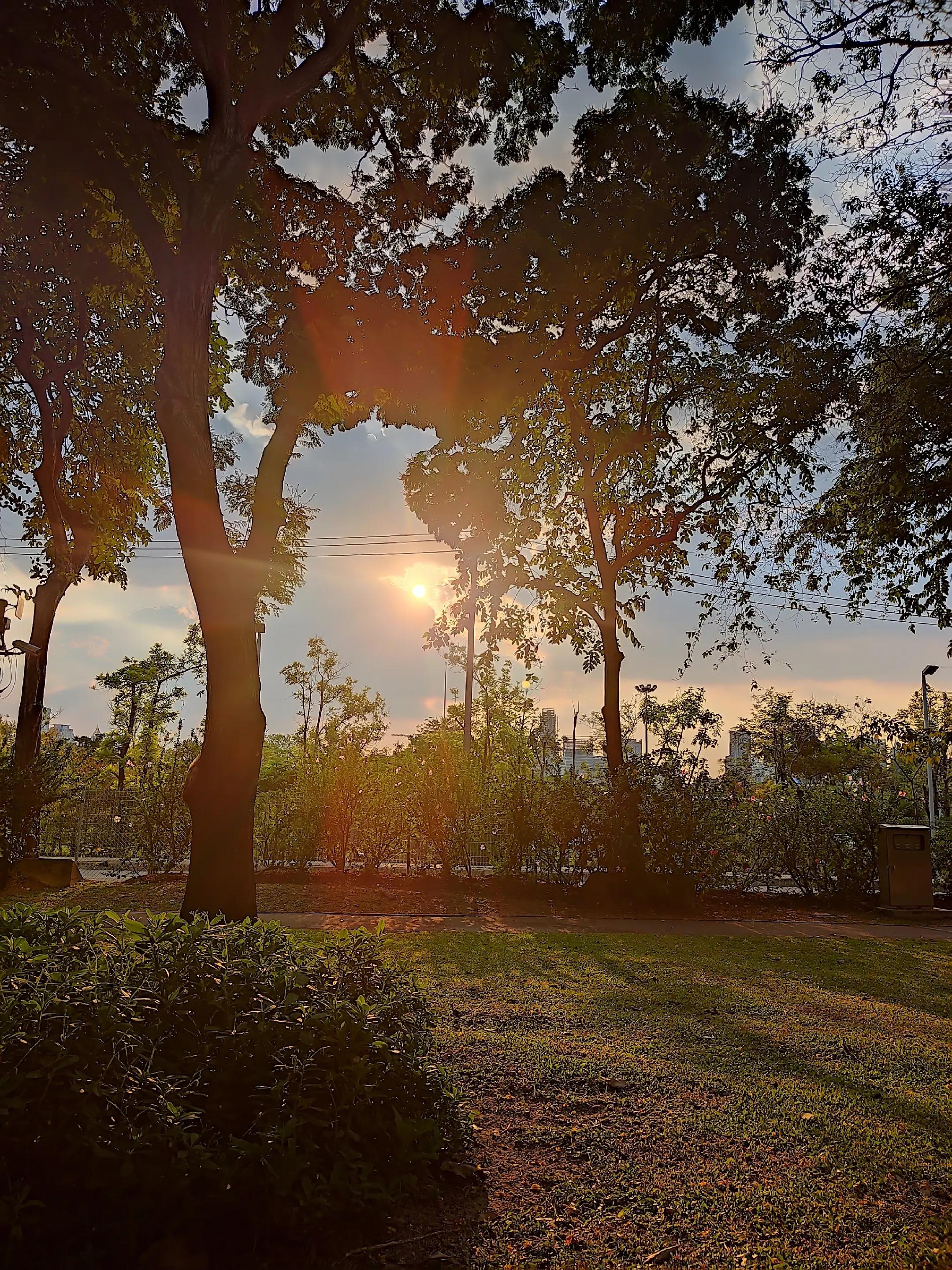 @Sun Zephyr
