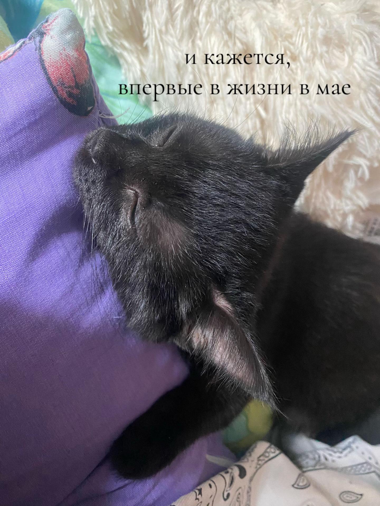 @ксанекс🍎ྀིྀི
