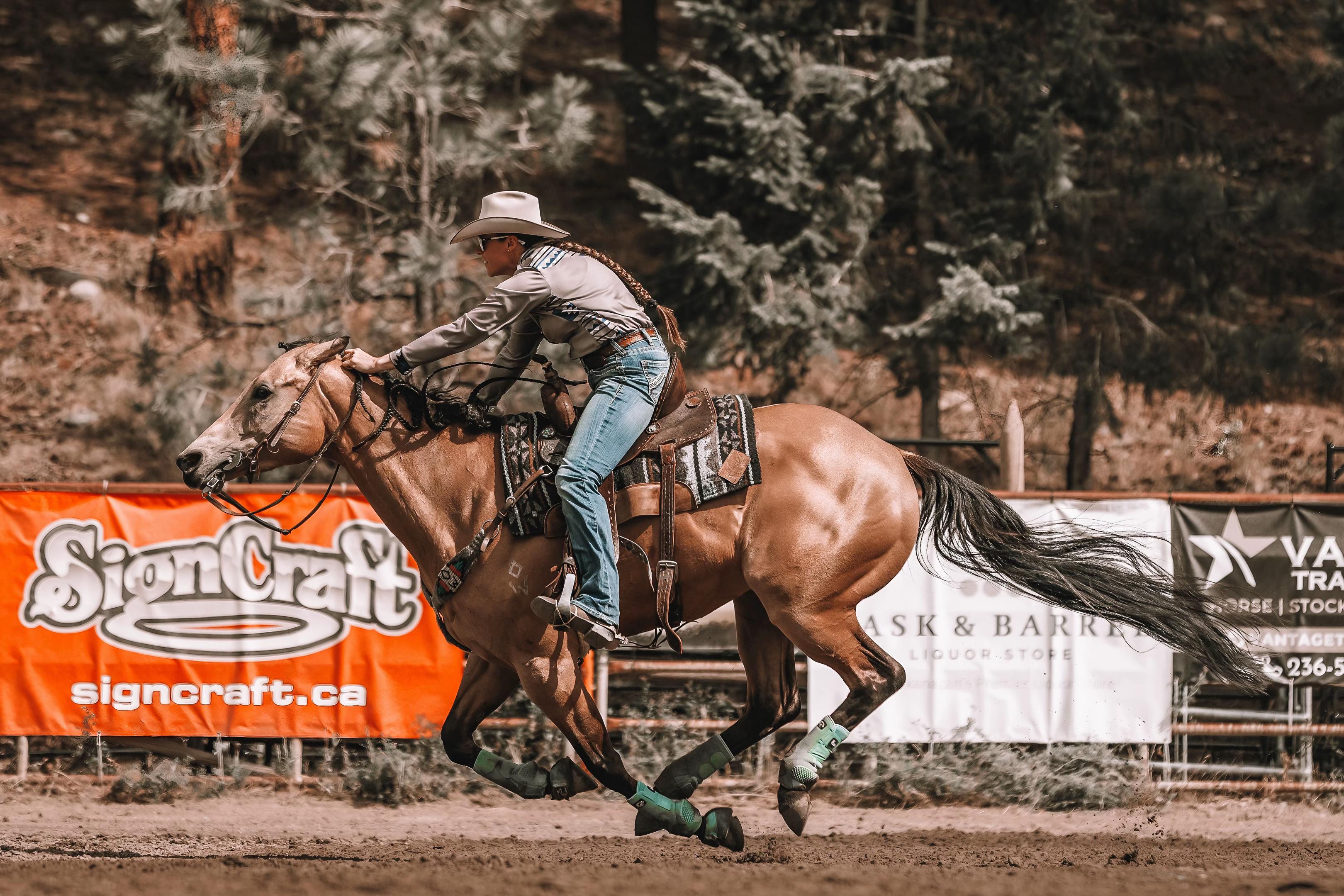 @Diamond W Barrel Horses 🇨🇦