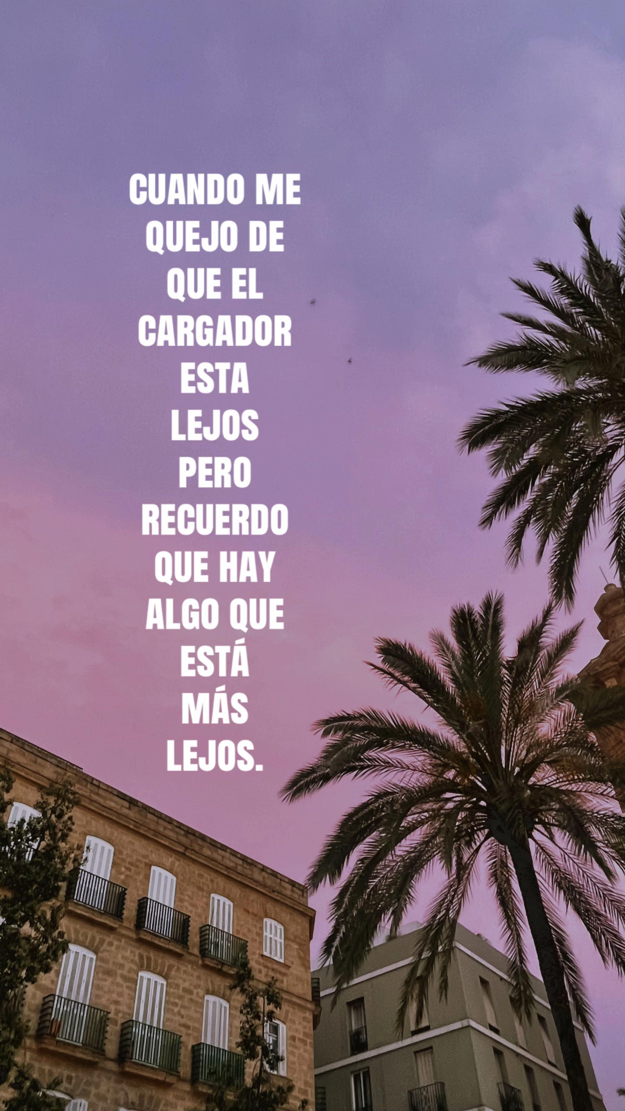 @ᴍᴏɴᴛsᴇ ʀᴀᴍɪʀᴇᴢ 💘