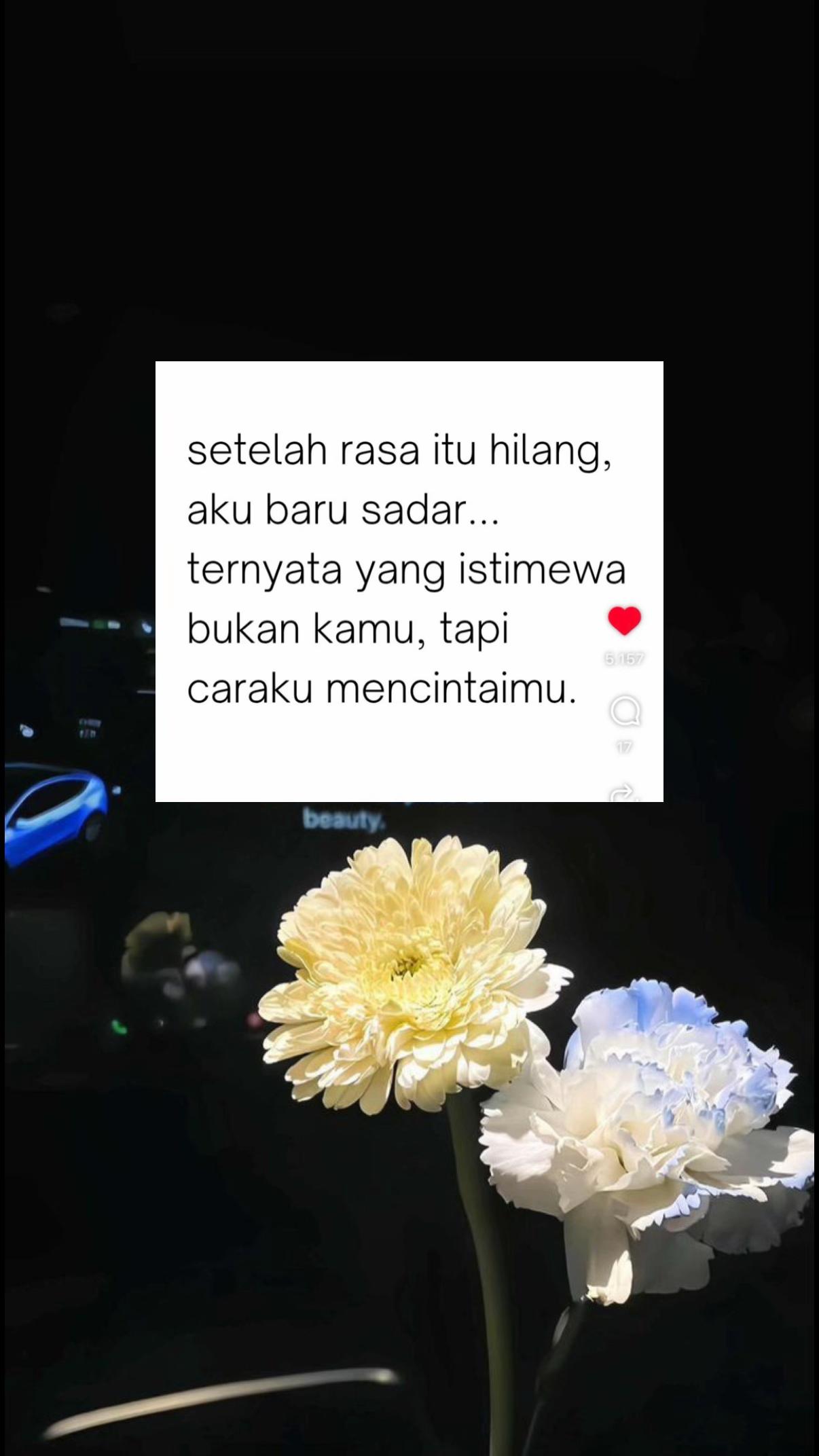 @Hizall