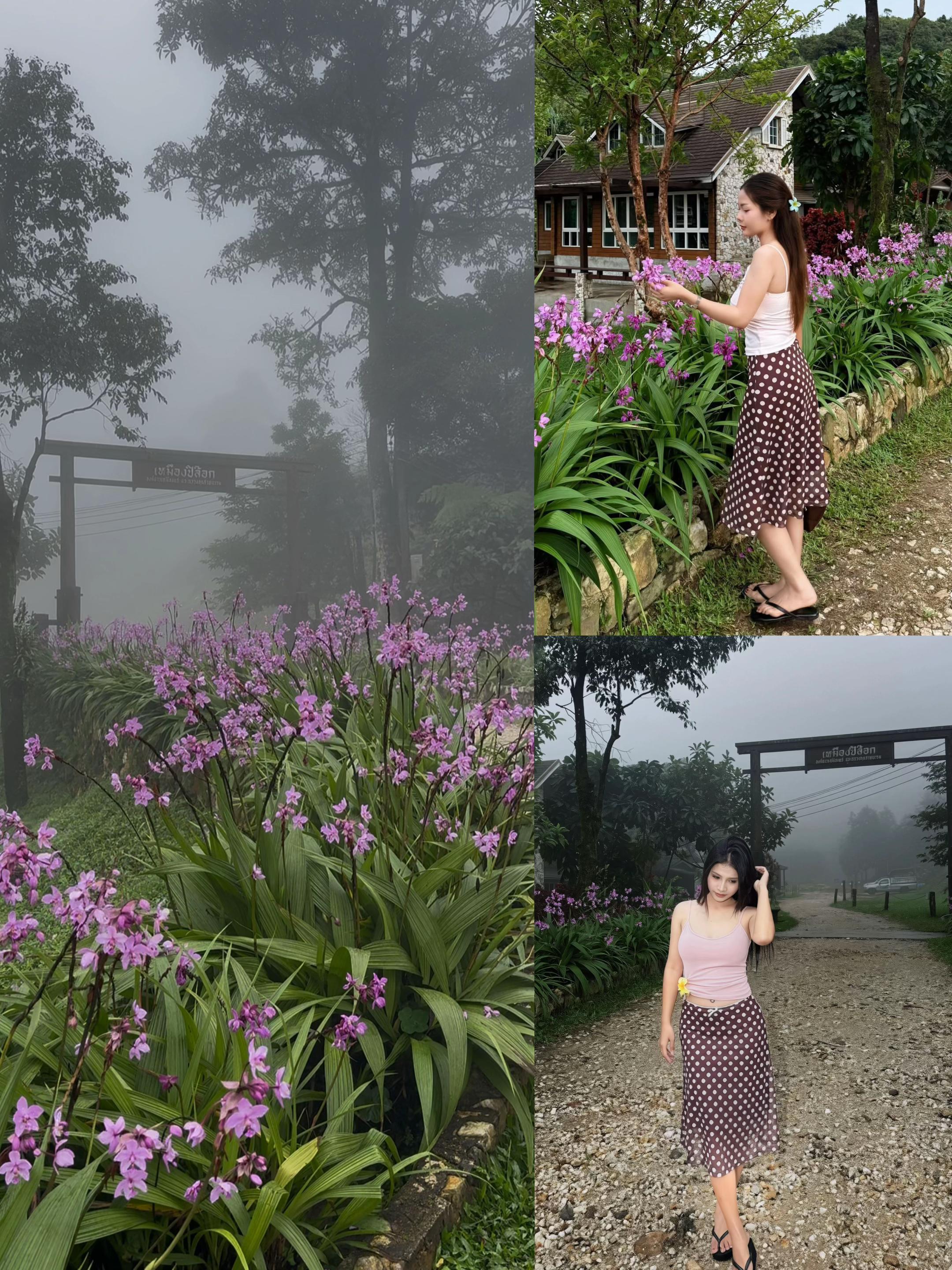 @Sasipa🌺