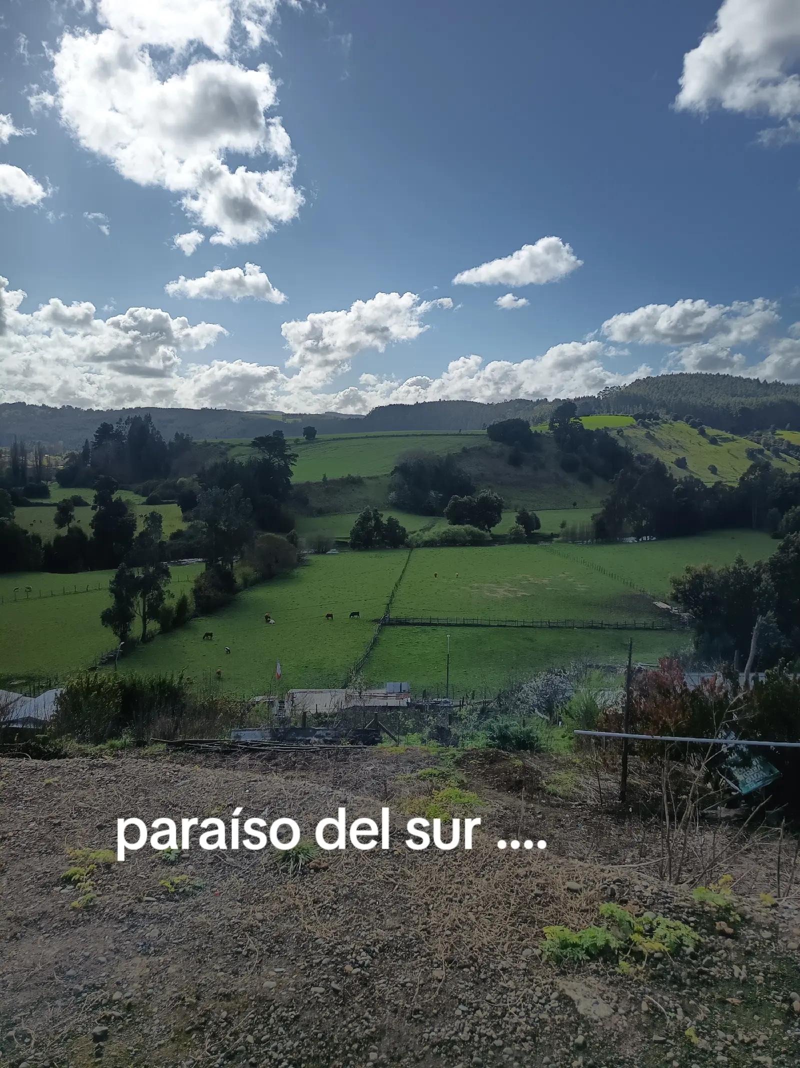 @martamillan772