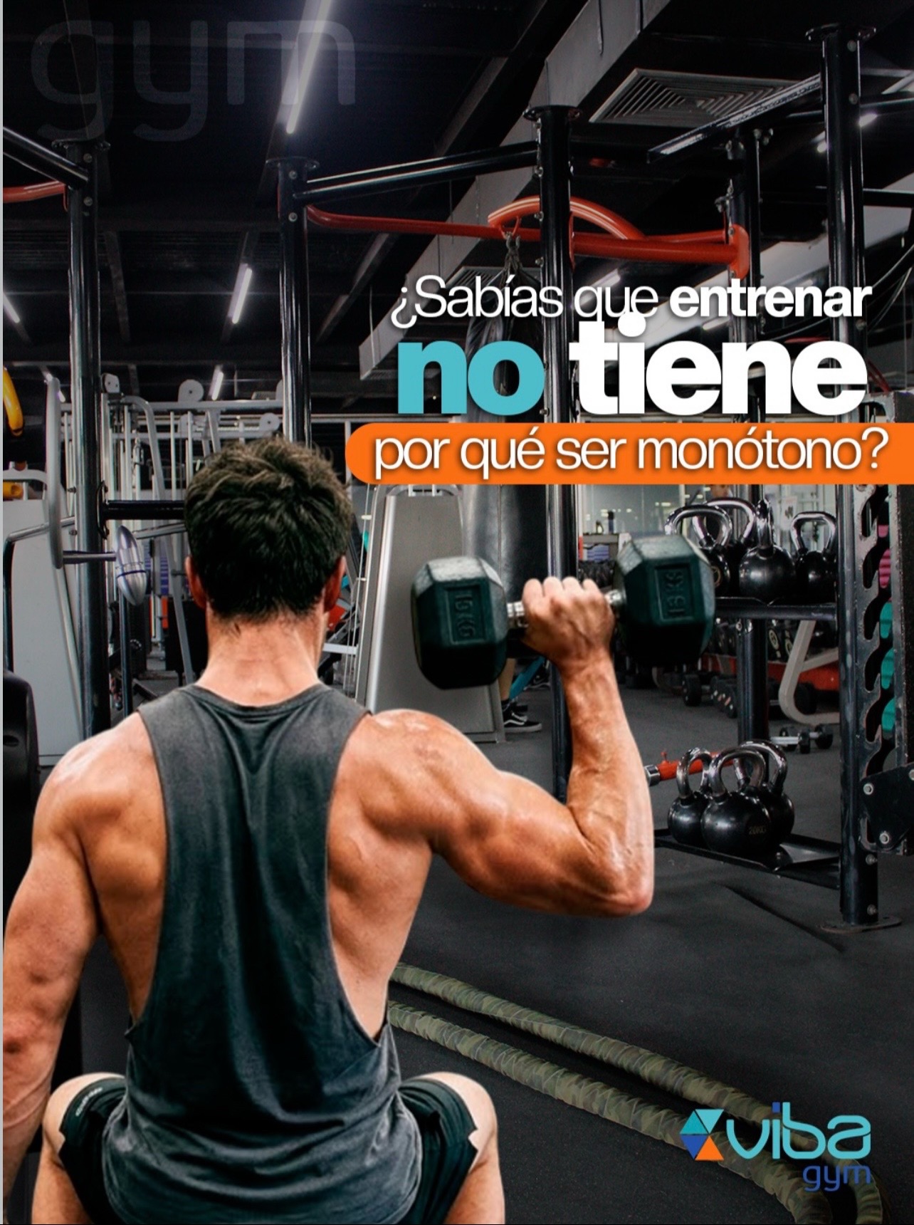 @Vibagym