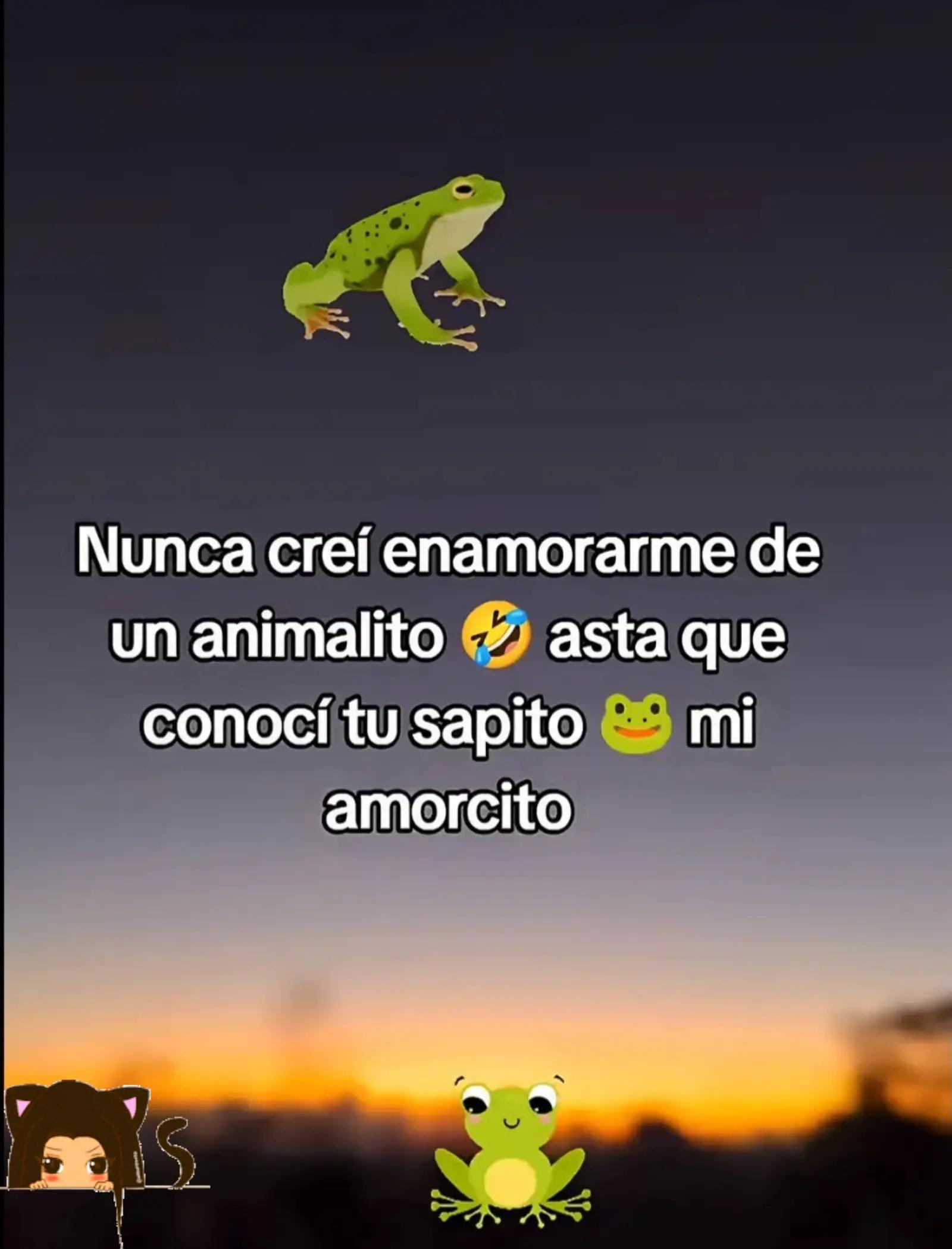 @ꪑꪖꪹ ♡