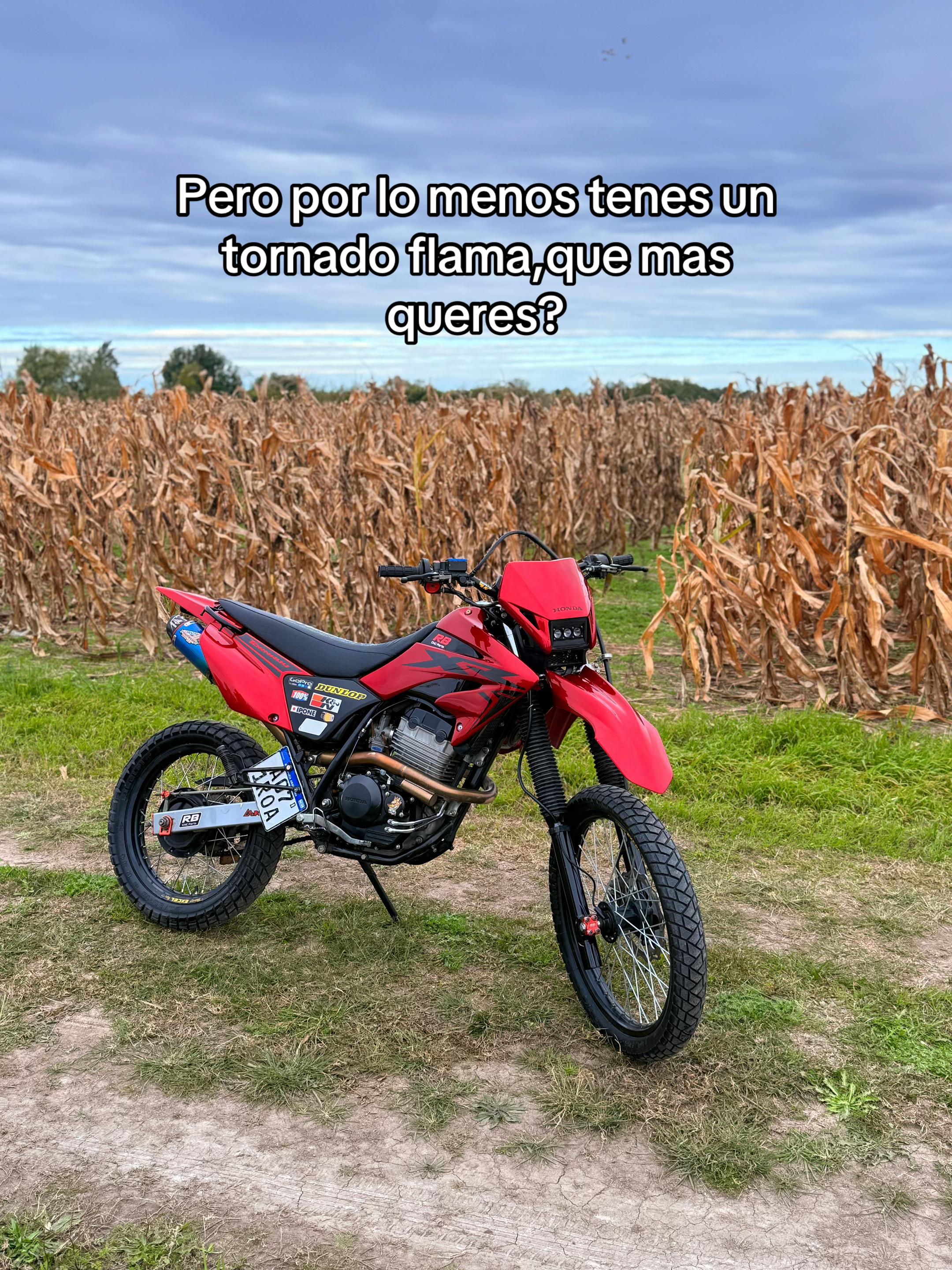 @fede_zorat