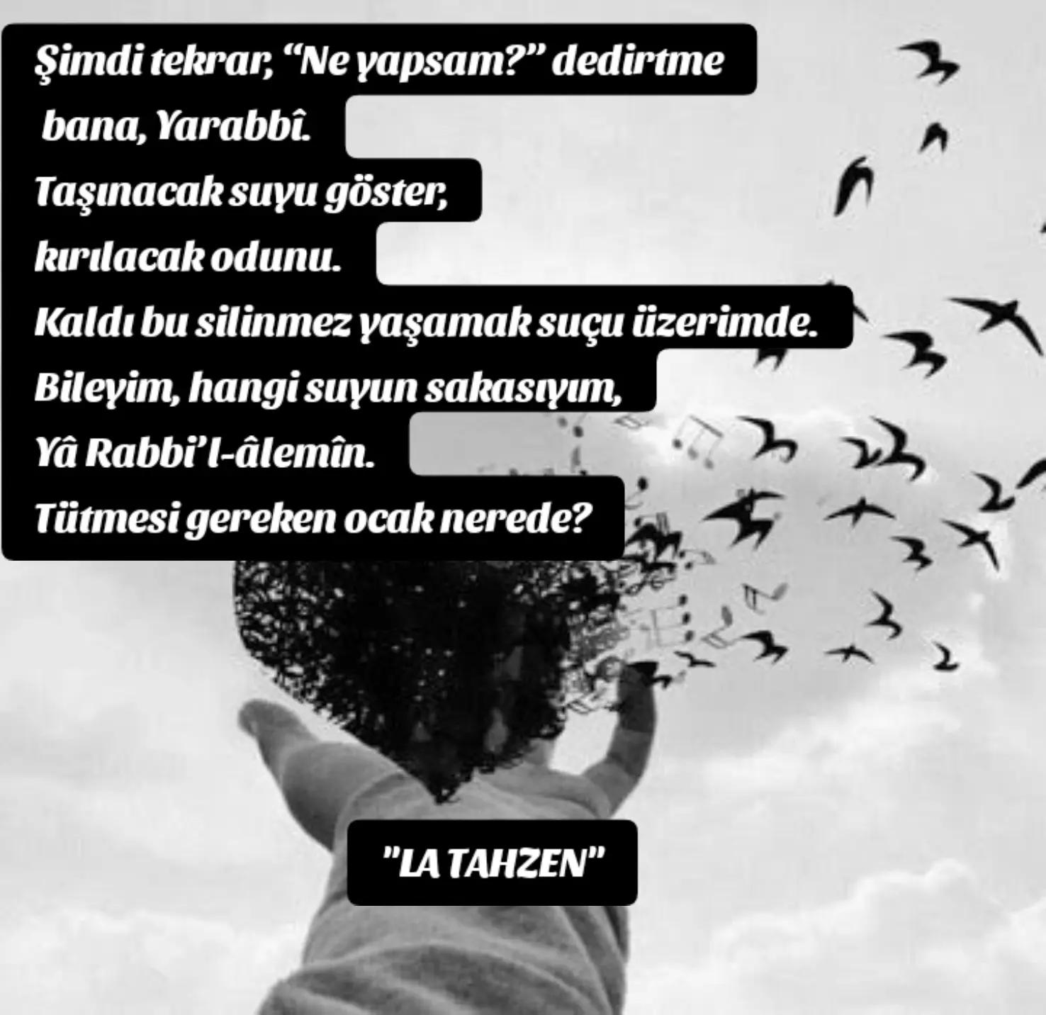 @🇹🇷 Zeynep 🇹🇷
