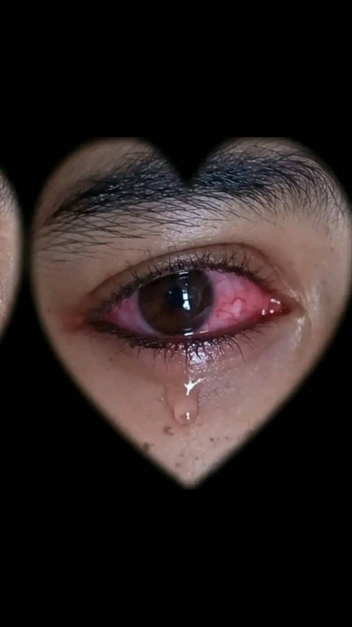 @🥰🥰সুখ পাখি 🥰🥰