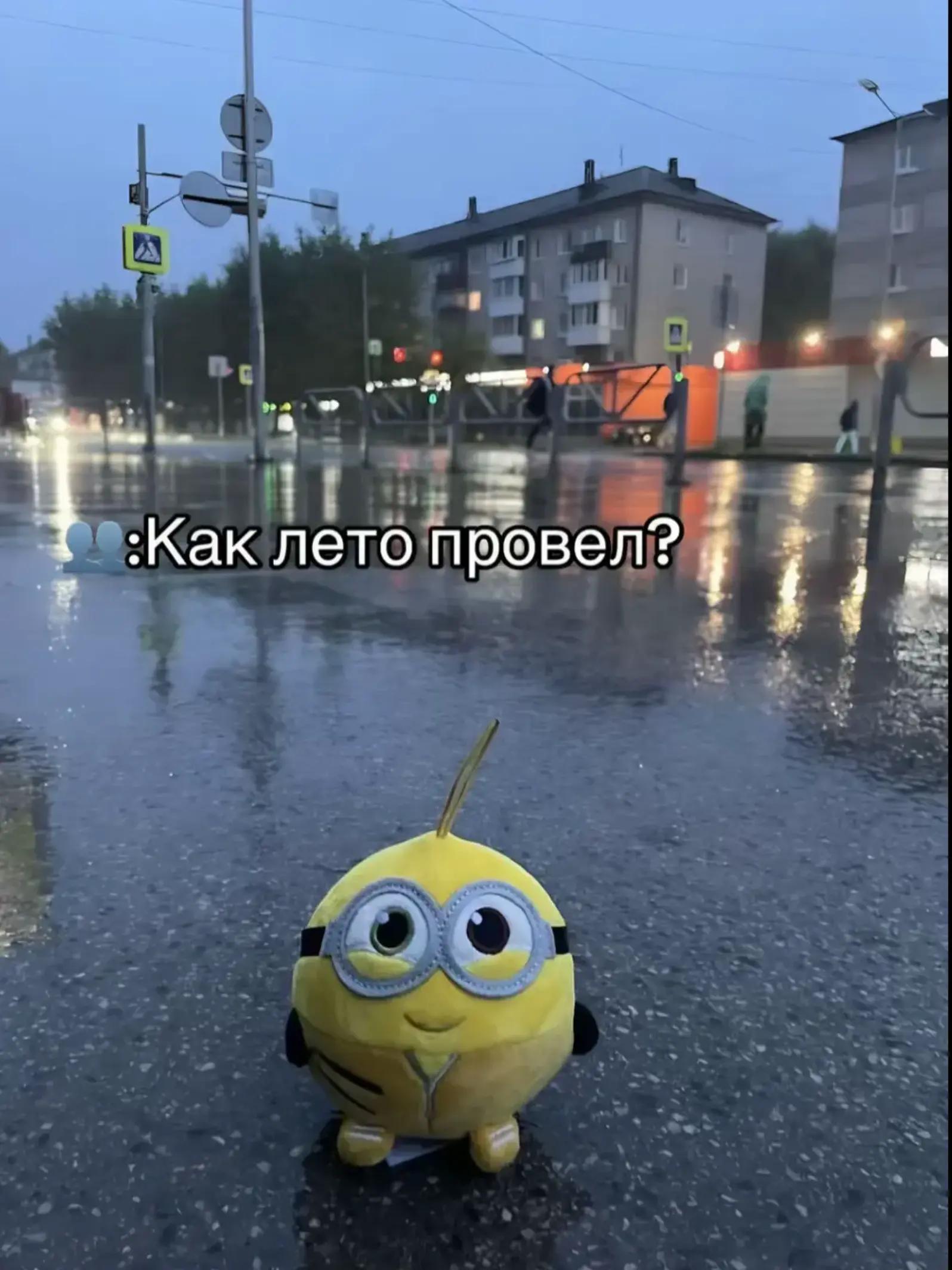 @snowxceeids