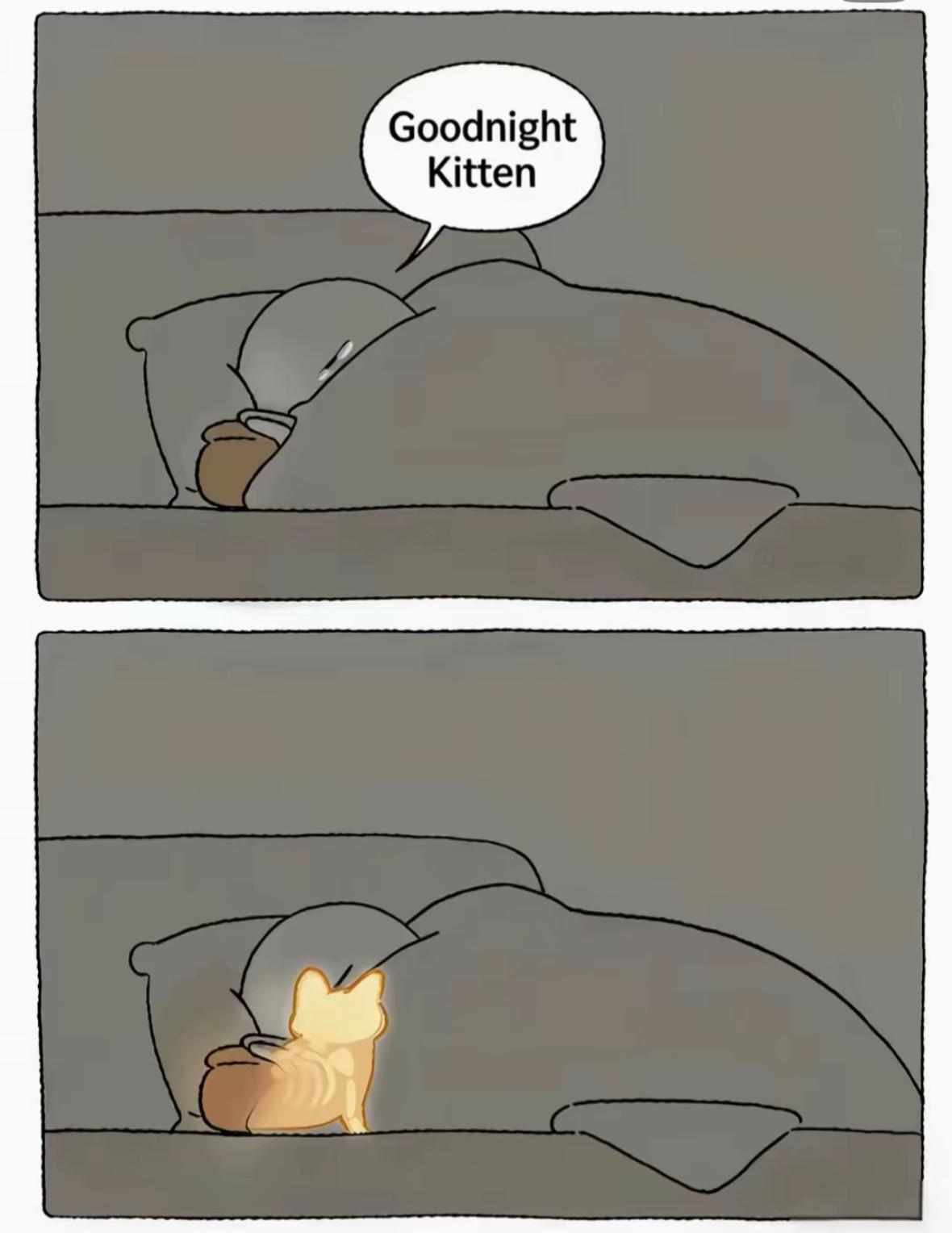 @Cat‘s
