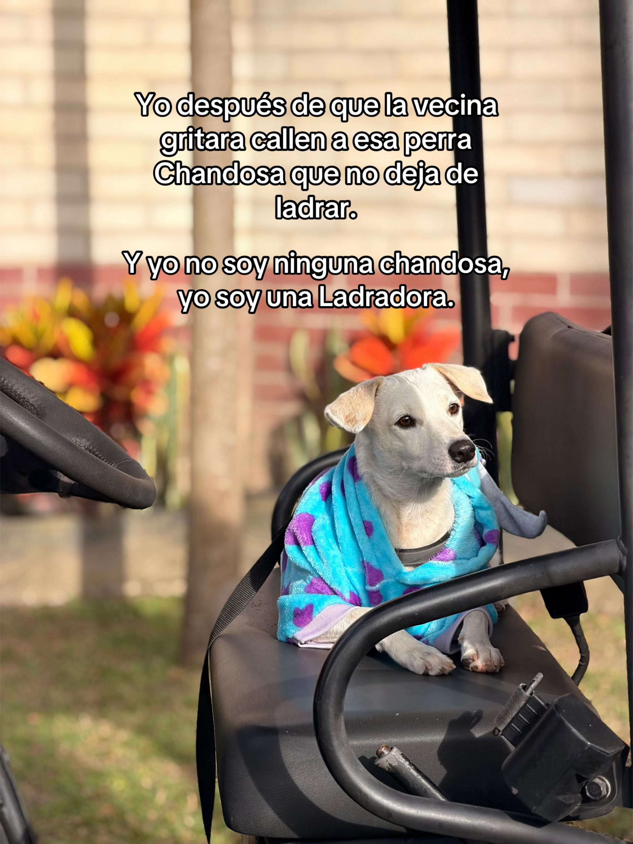@Chef Sebastián Carvajal
