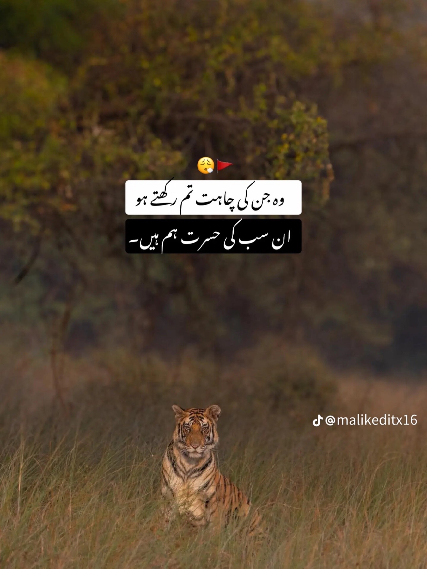 @usama hu yaar❤️🔥😜🤪