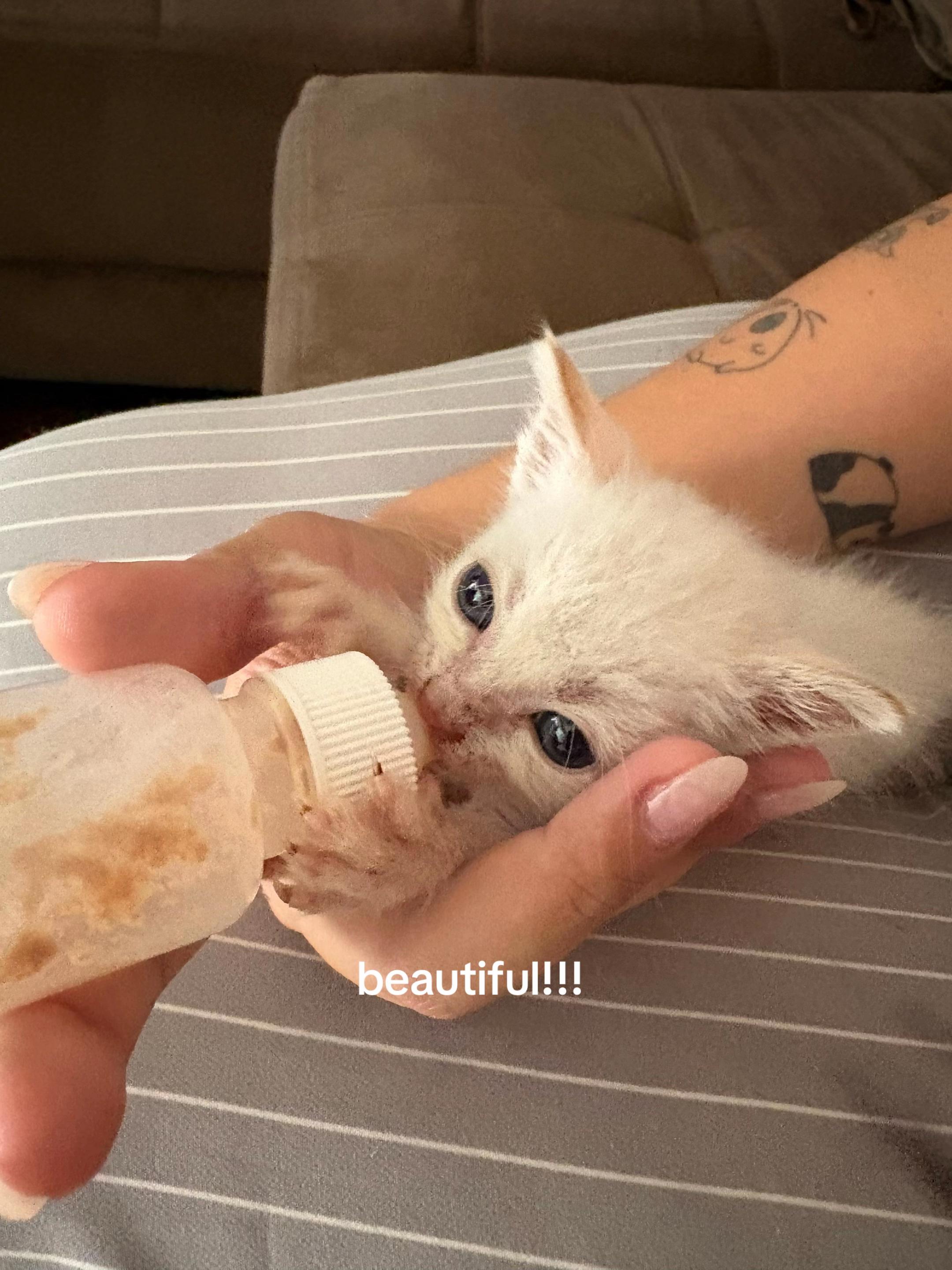 @ju