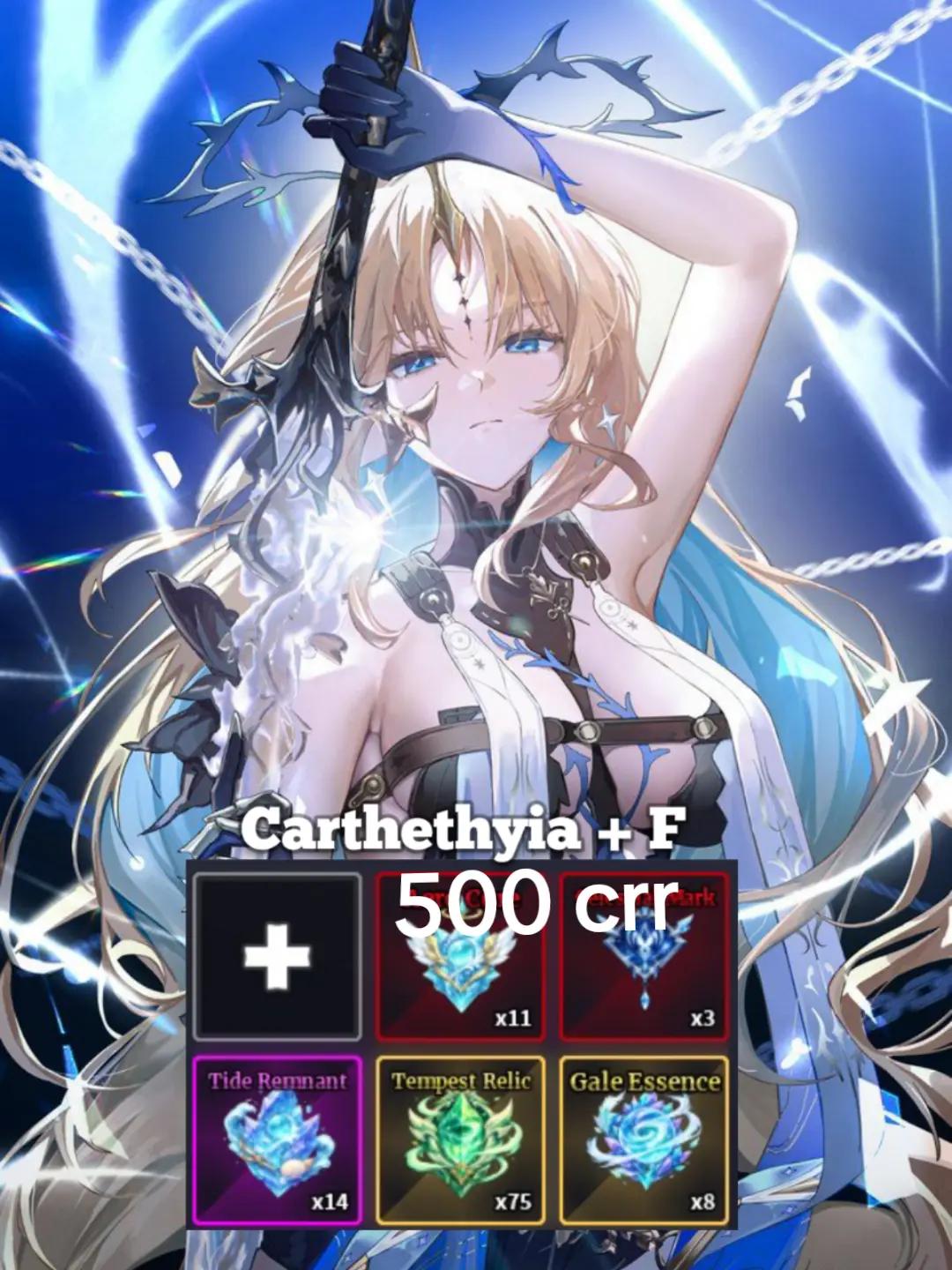 @.PRIMO9924