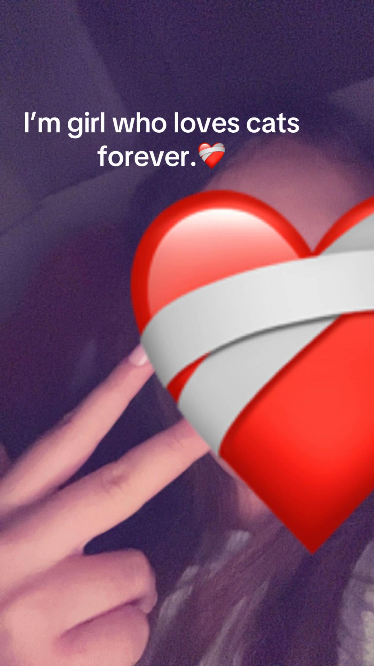 @L🤍