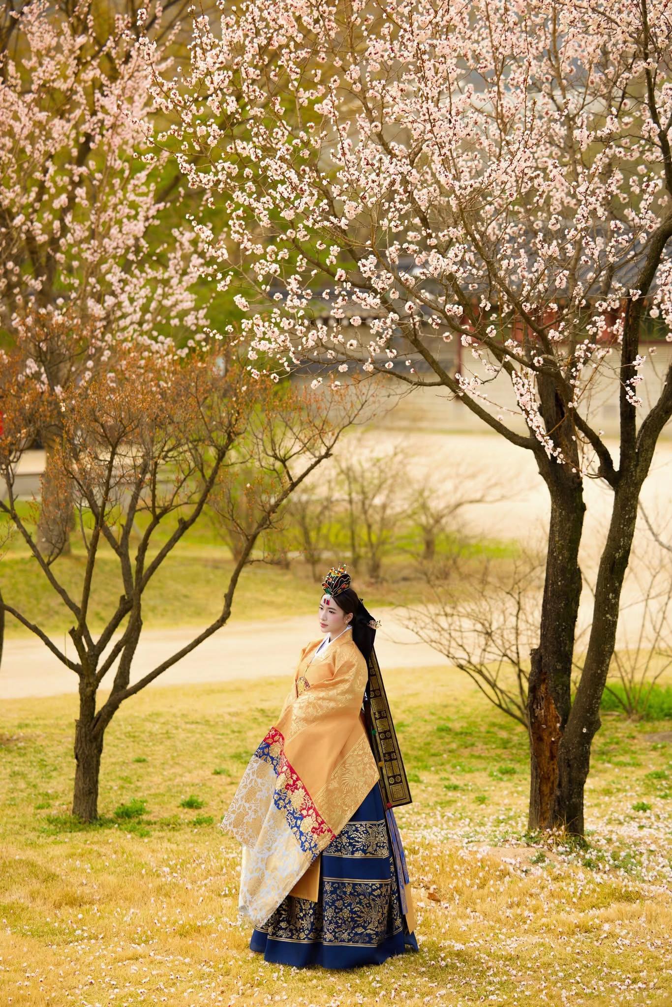 @Cao T&ugrave;ng Photo Korea 📸